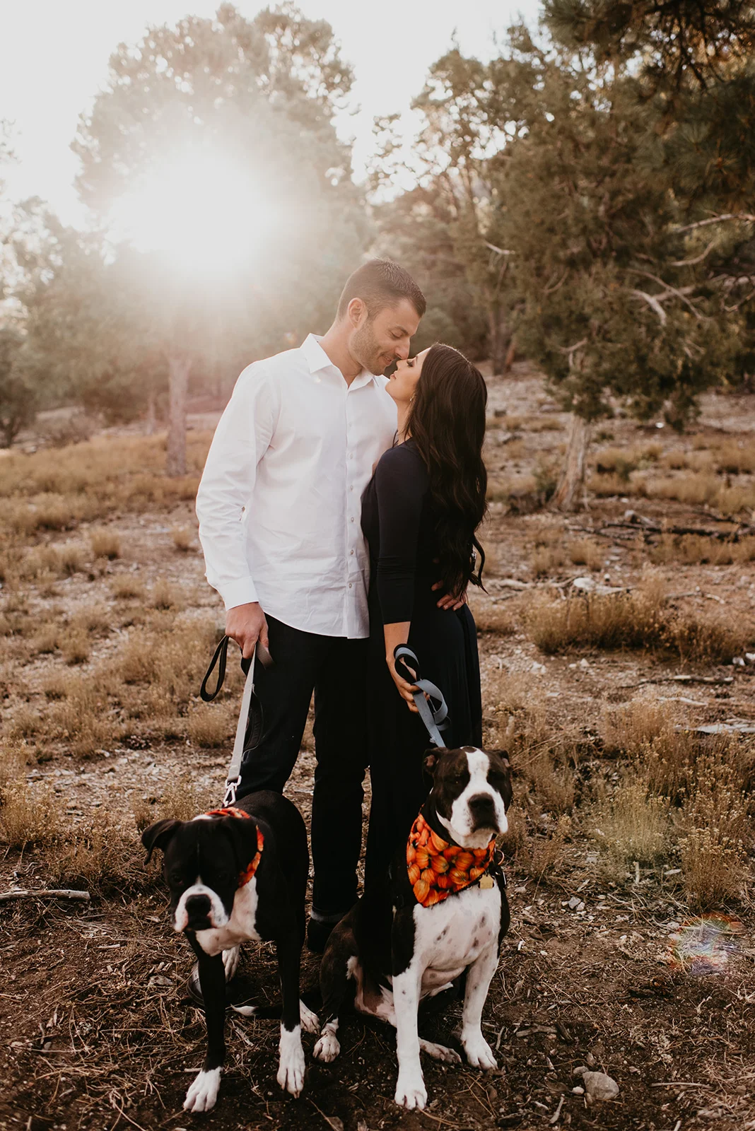 Couple Shoot In Mount Charleston