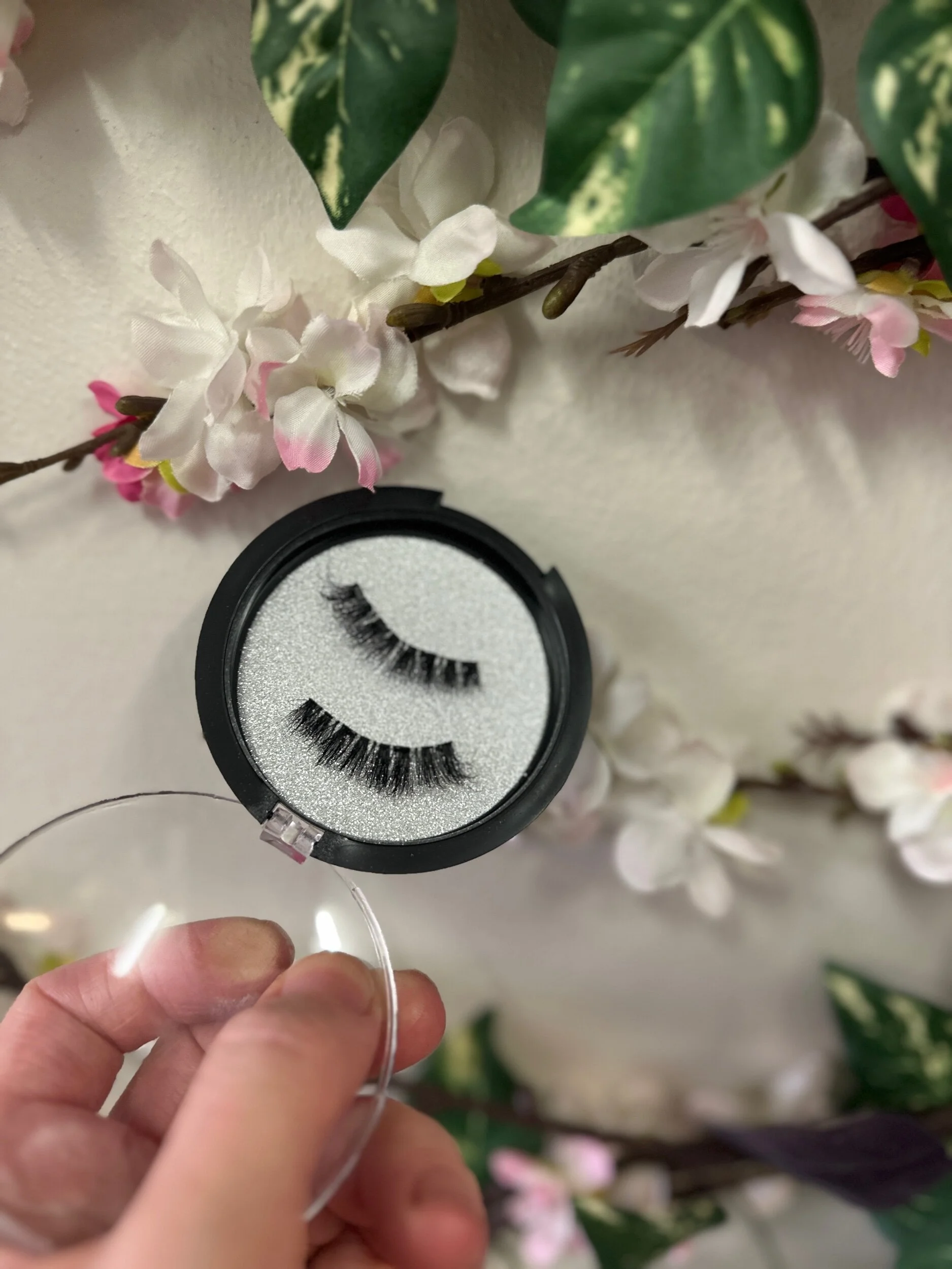 07CE827E-5EE6-407C-8D1F-ADA9FCB678B3