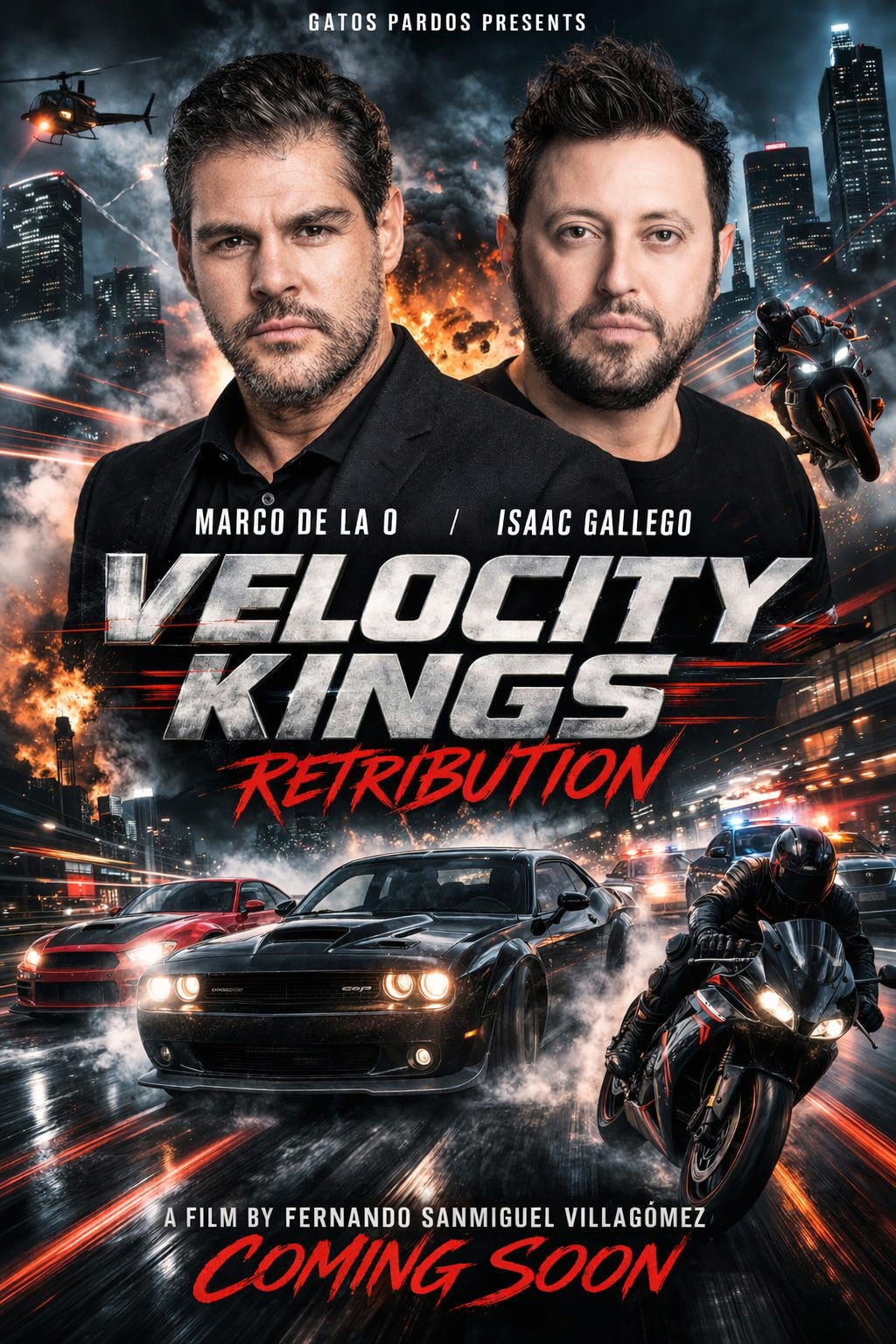 Poster VKR.PNG