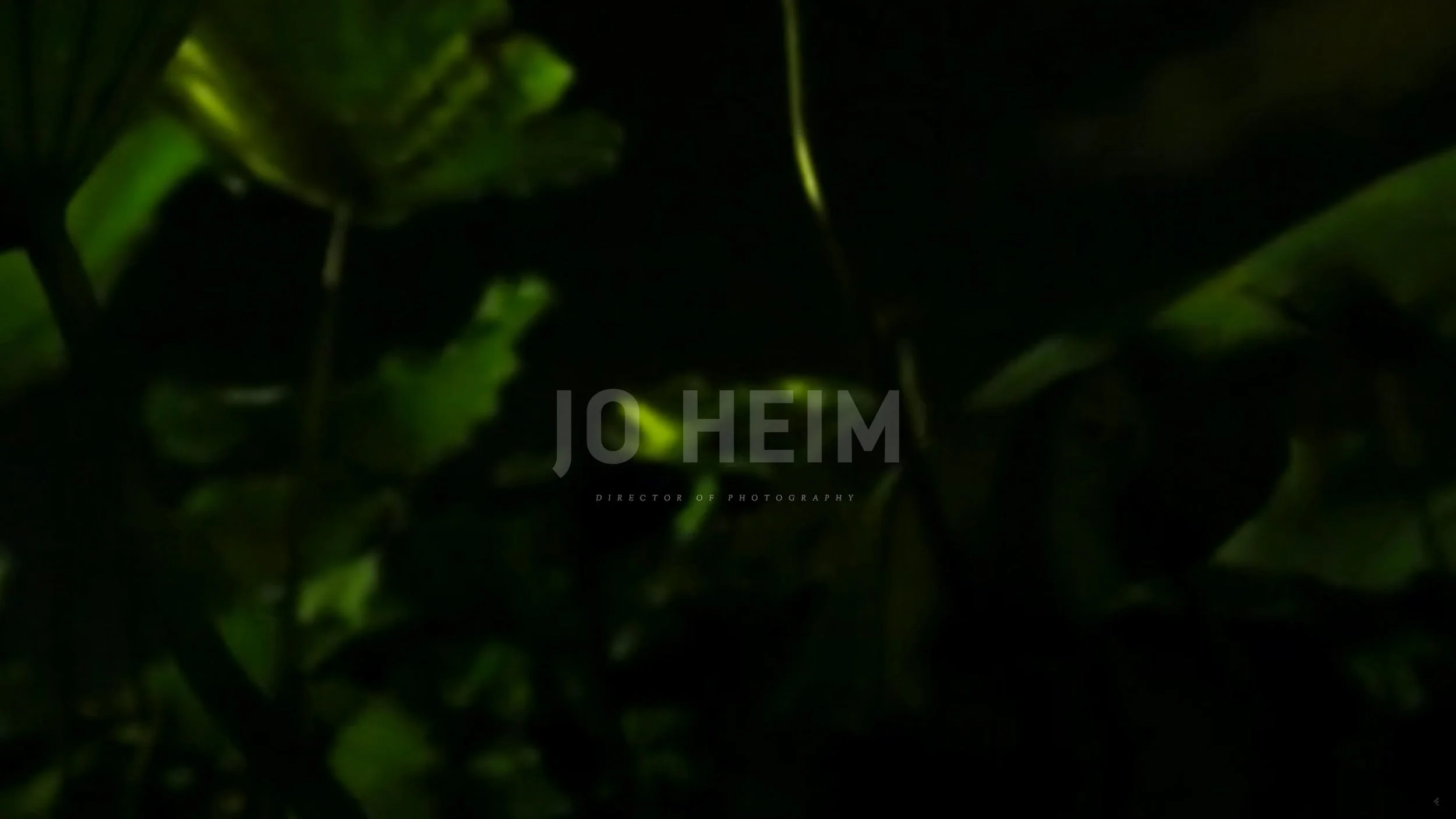 99NOs-01-Jo-Heim-2560px-72dpi-RGB.jpg
