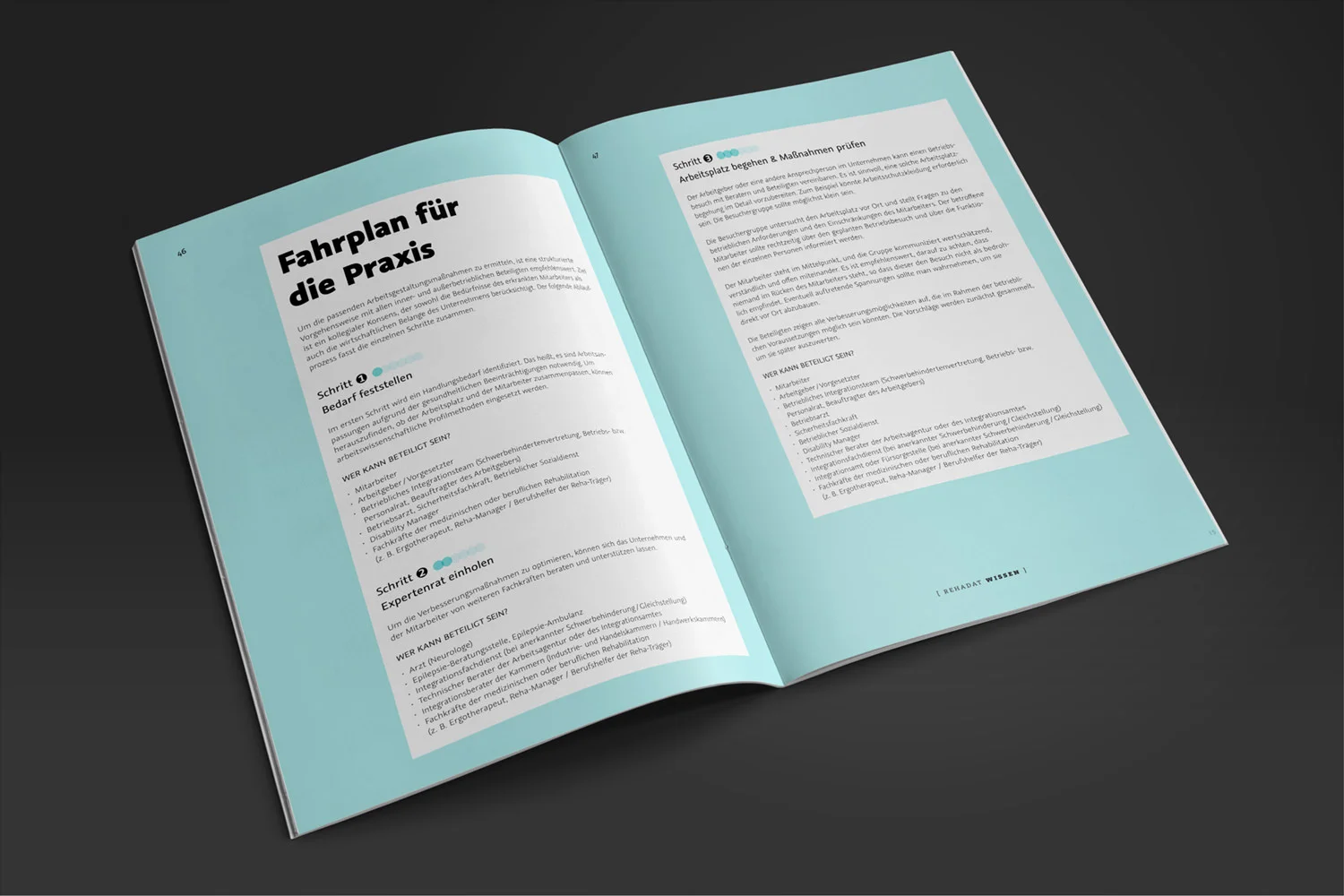 99NOs-02-IW-Rehadat-Wissensreihe-01_1500px_72dpi_RGB.jpg