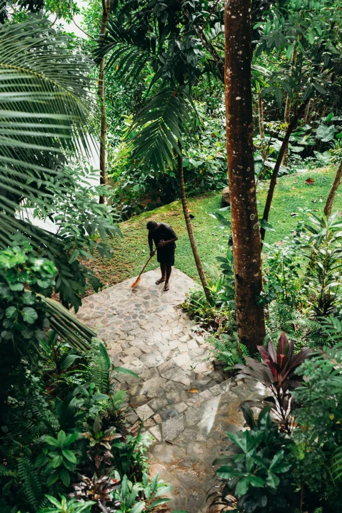 Cleaning-Garden-Sri-Lanka-683x1024.webp