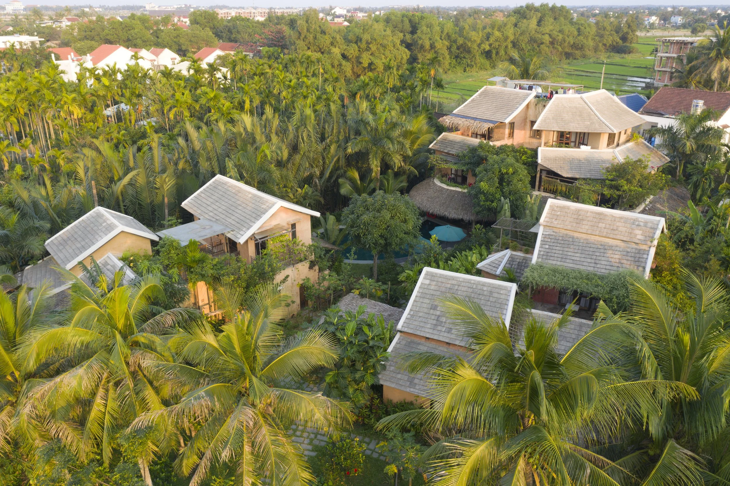 DJI_0931.JPG