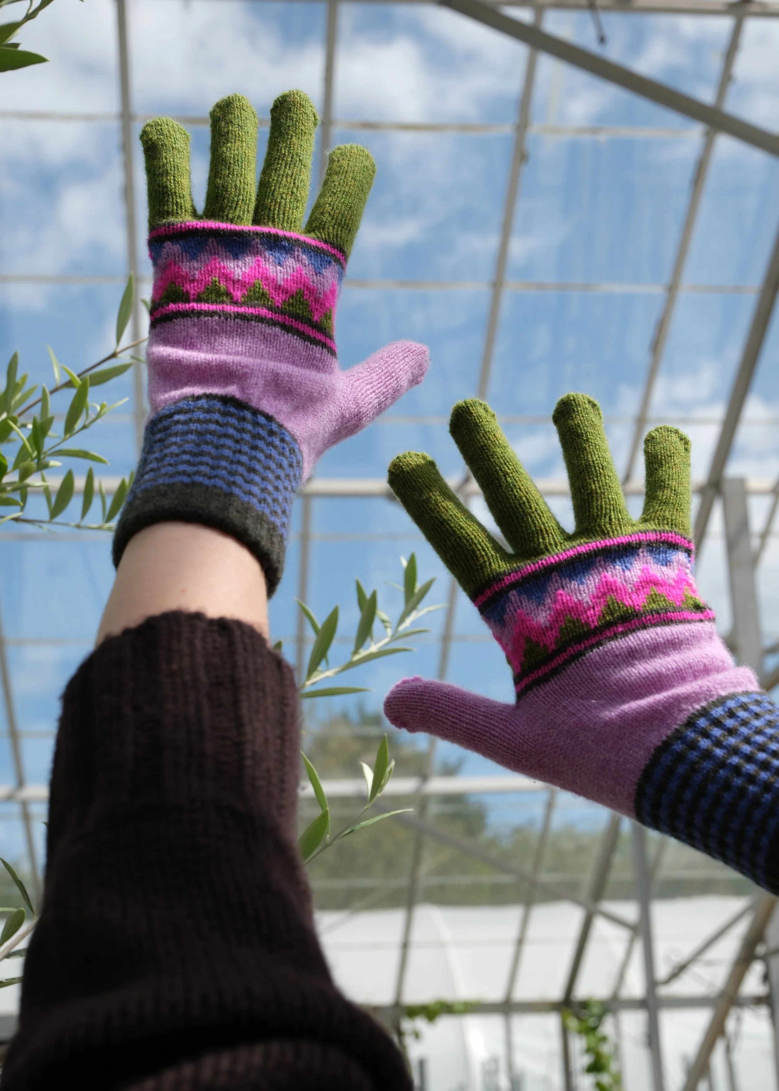 wave-glove-hot-tropics-tropics-sky-.jpg