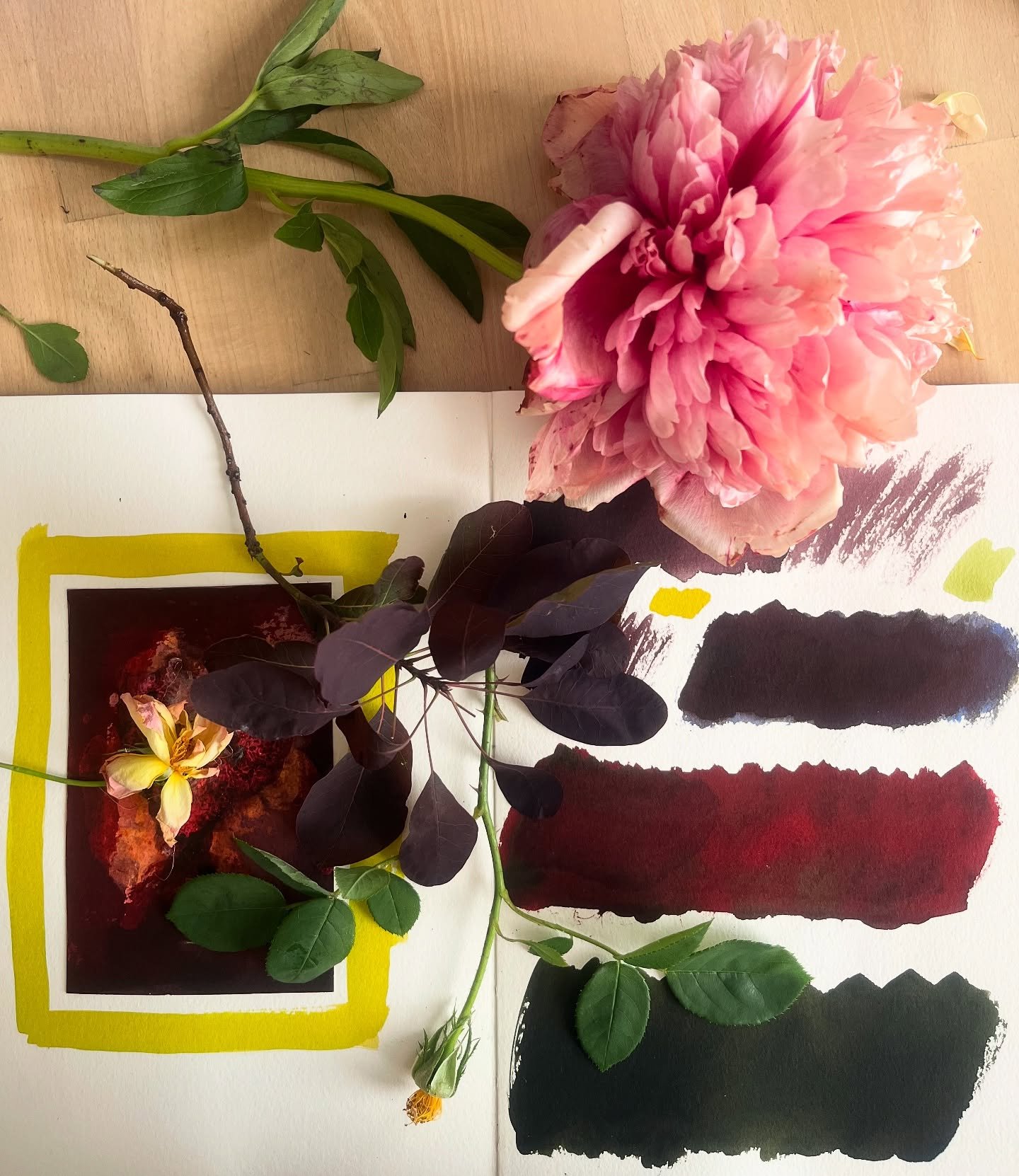A day in the studio playing with petals and new colour ideas . We went to see Cecil Beaton&rsquo;s Garden Party at the Garden Museum and rushed back full of Old Rose and Peony powered inspiration.
Lots of soft and faded colour and texture coming thro