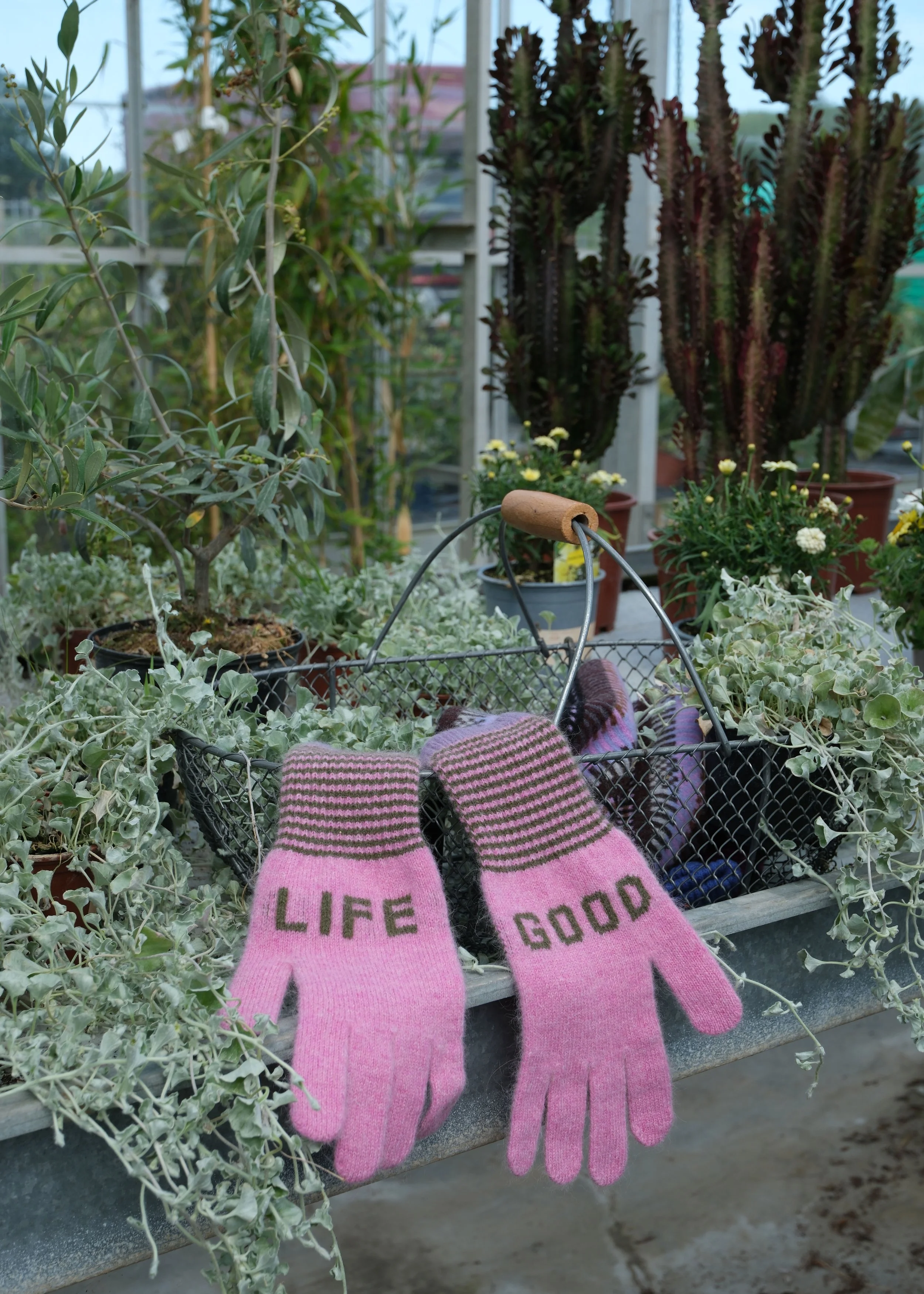 Good Life Angora Gloves in Pink and Green