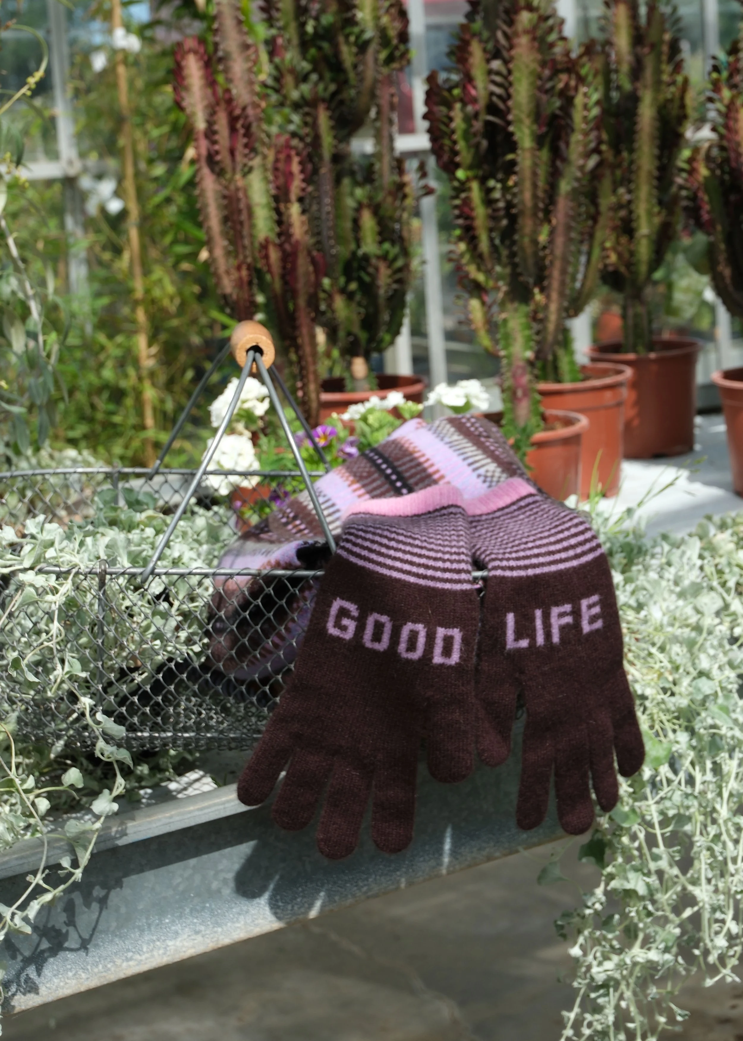 good-life-brwn-Moorland-.jpg