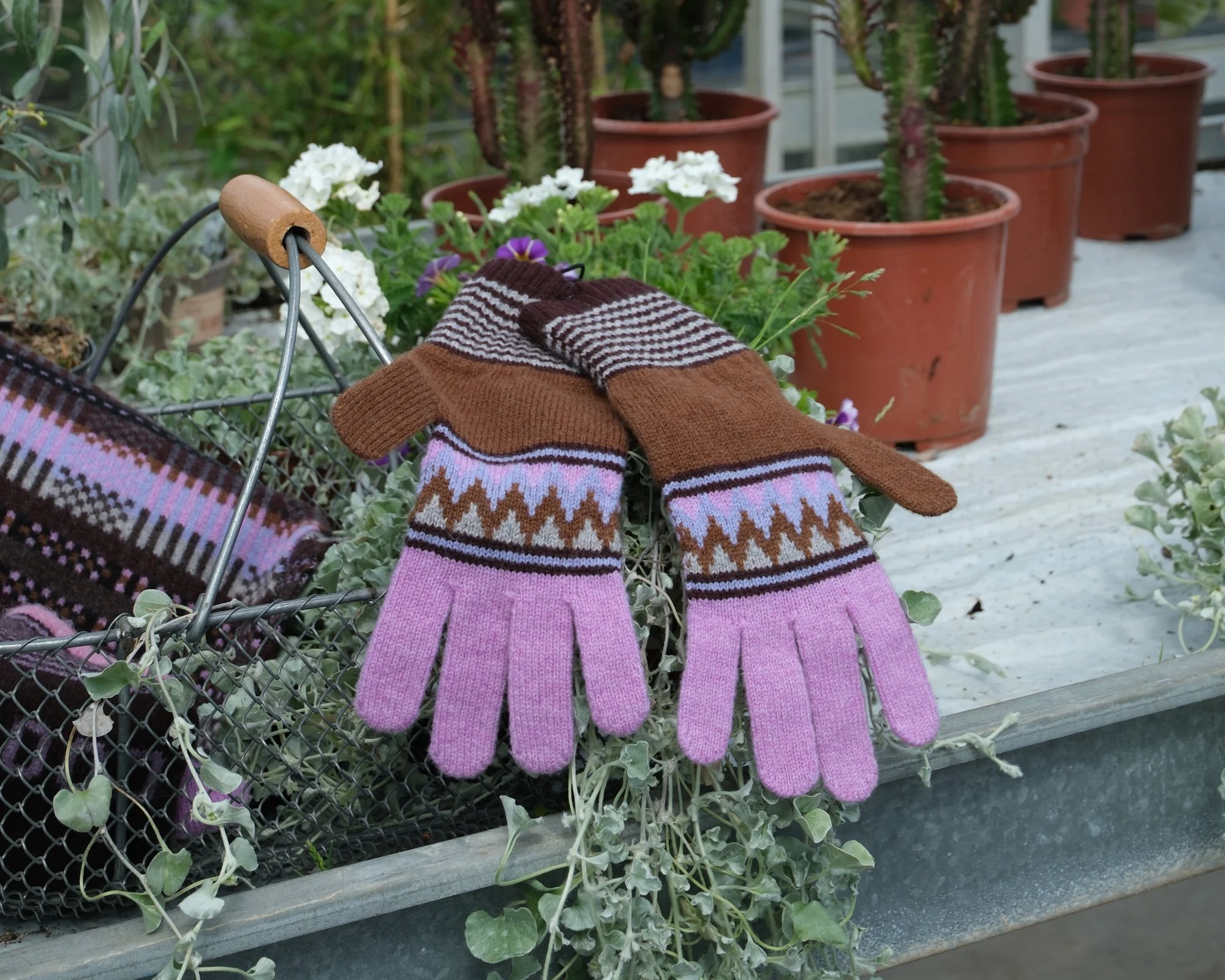 205 21 WAVE GLOVES COL 5.jpg