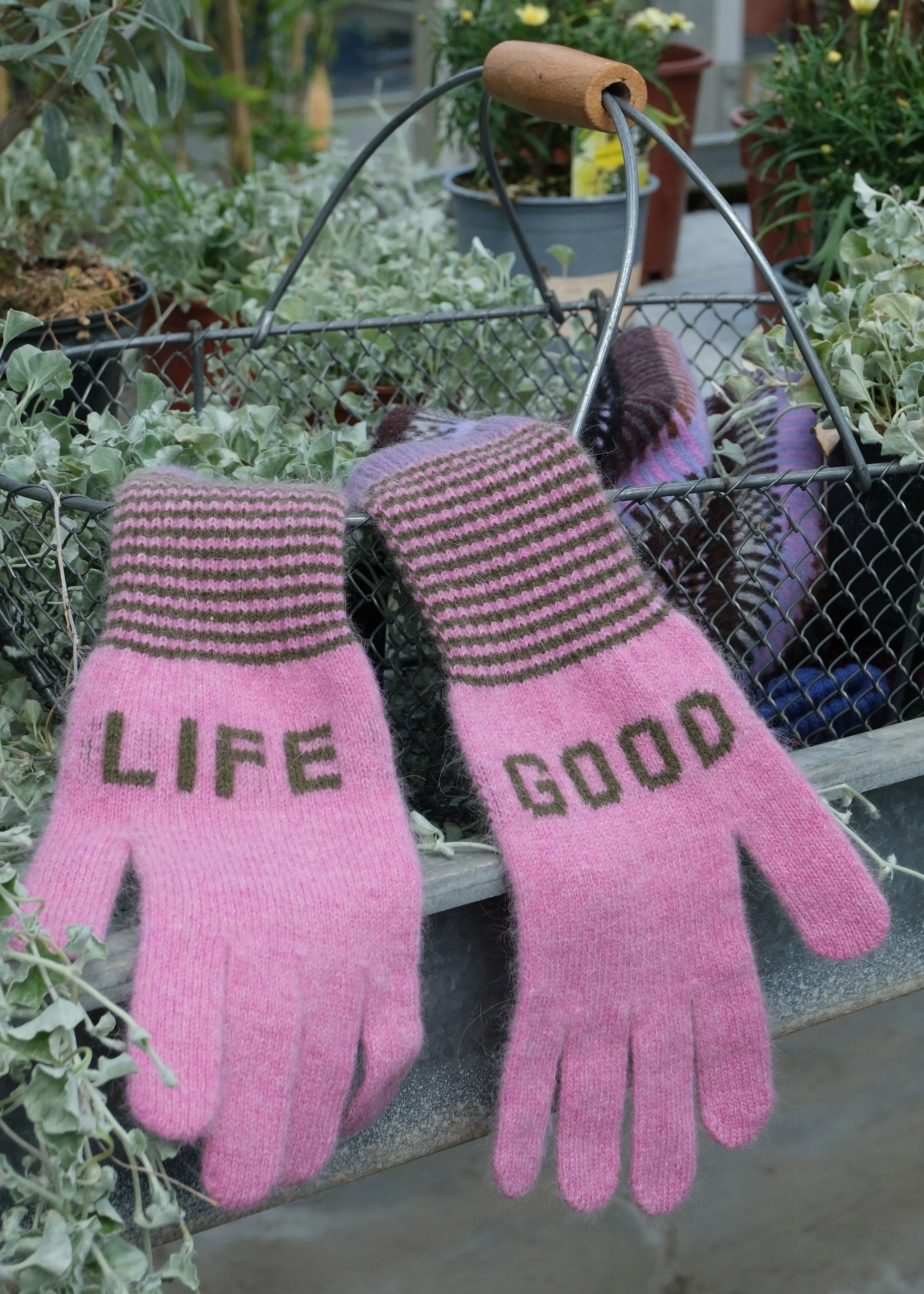 pink-good-life-glove-.jpg