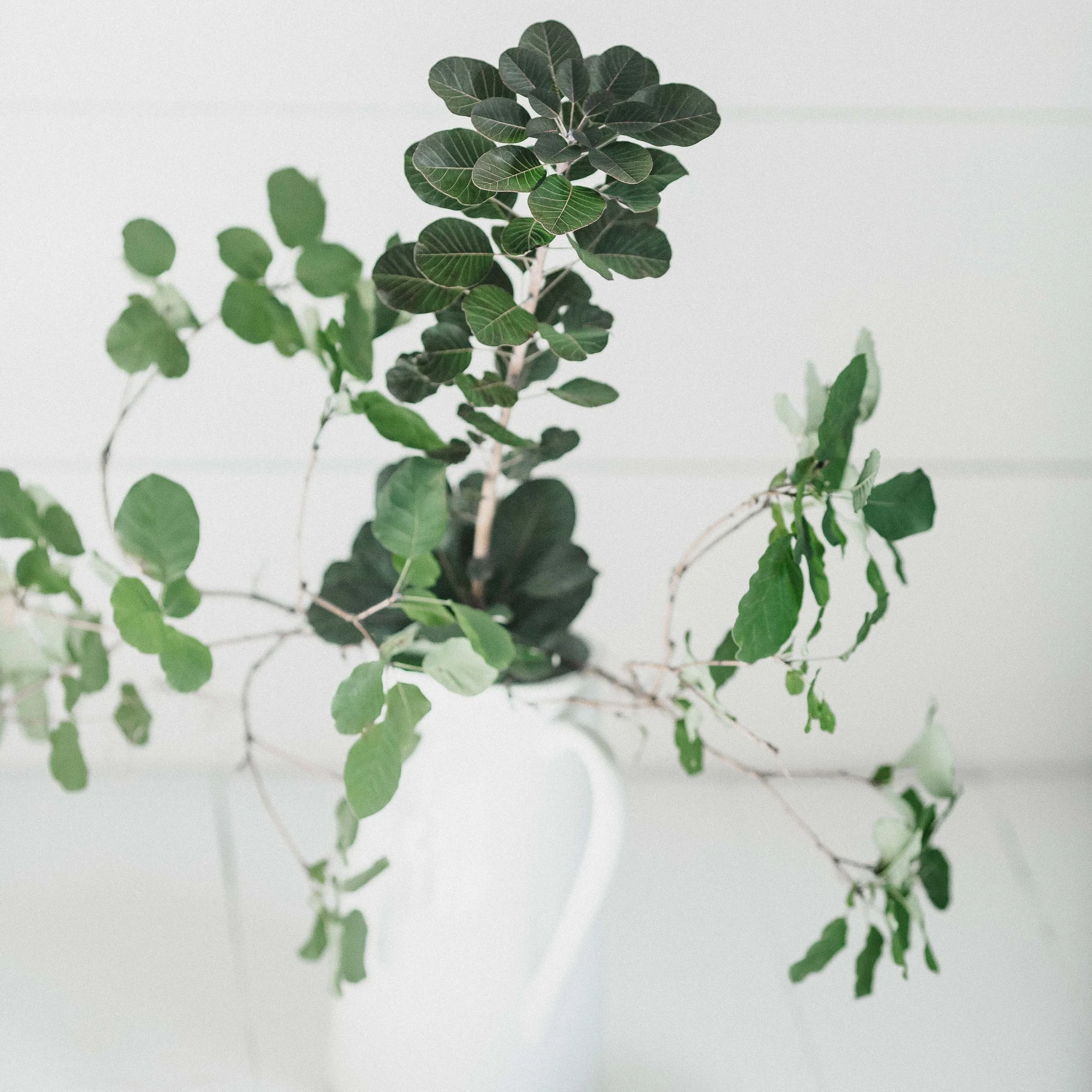tanalee-youngblood-419691-unsplash.jpg