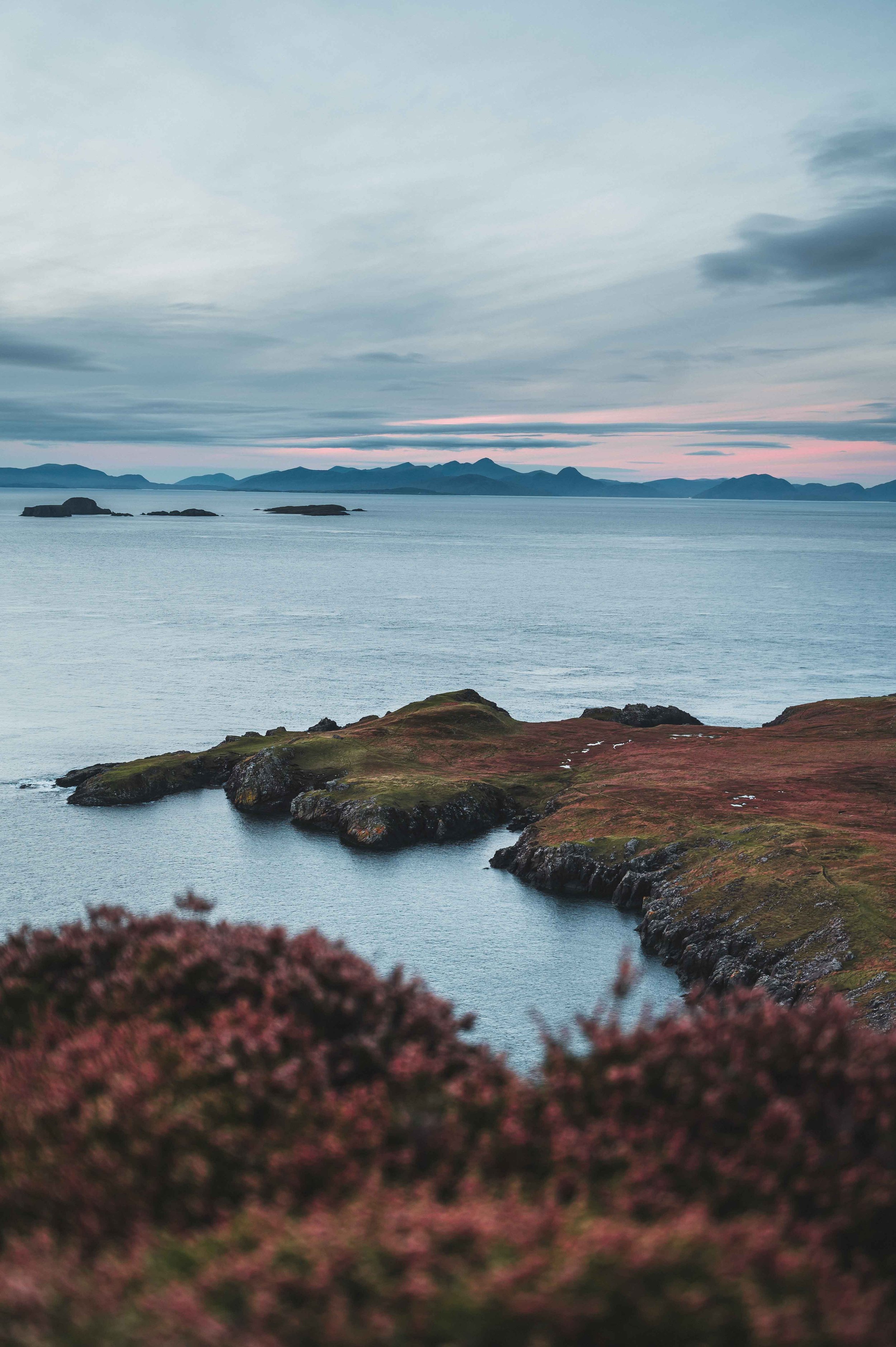 DSC_2397-2.jpg