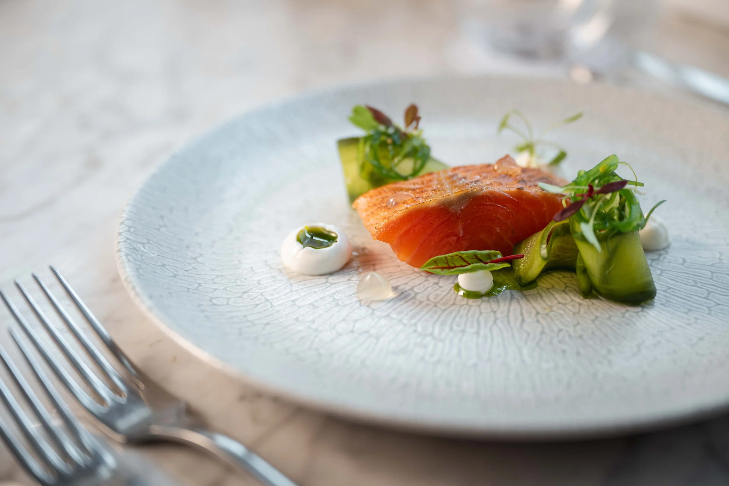 A plated gourmet dish featuring a seared piece of fish, garnished with microgreens, dollops of white sauce, and green melon or cucumber slices.