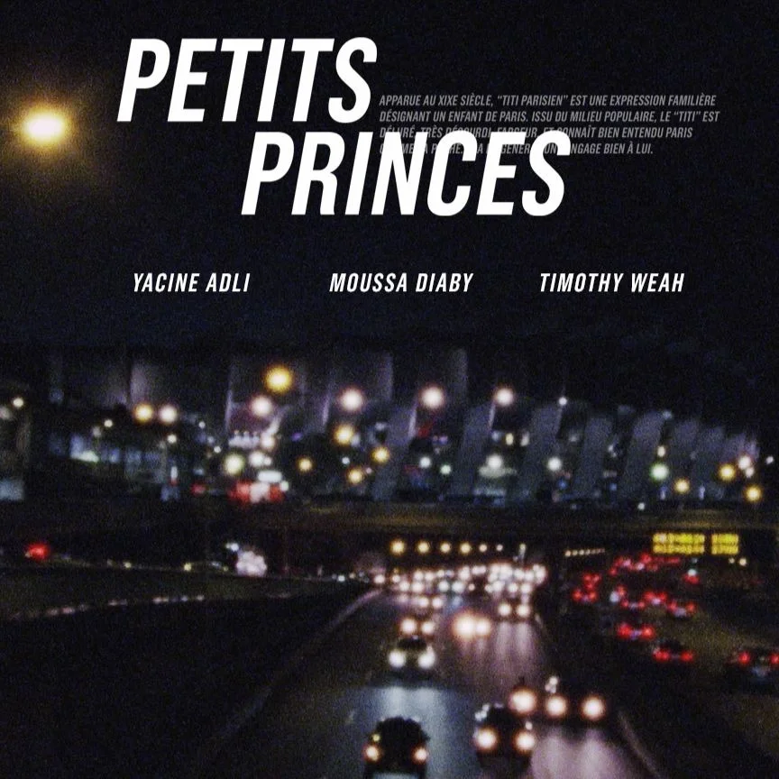 AFFICHES PETITS PRINCEScarre.jpg