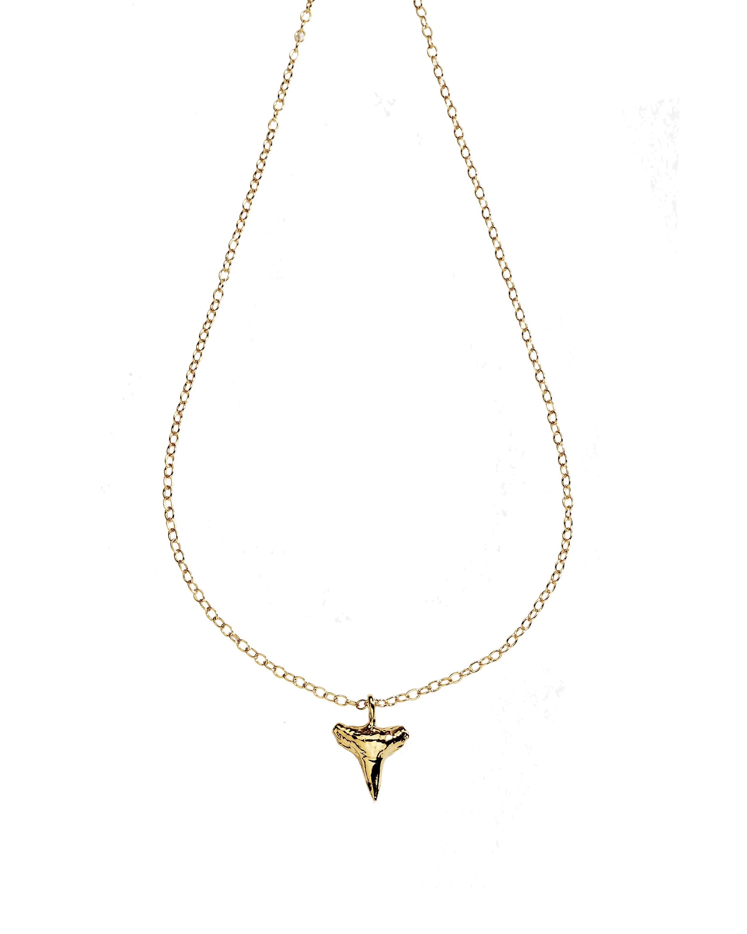 Small Shark's Tooth necklace.jpg