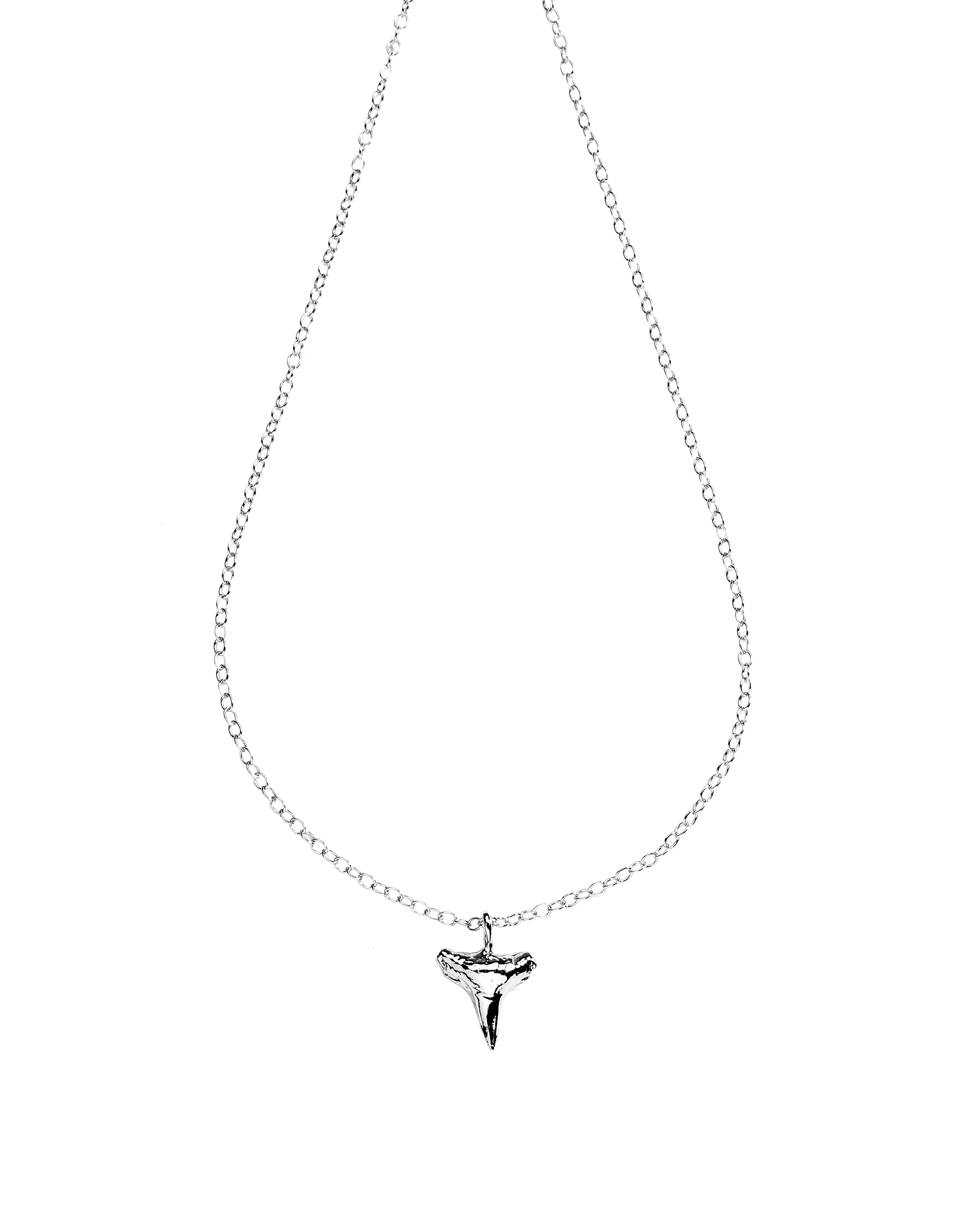 Silver small Shark's Tooth necklace.jpg
