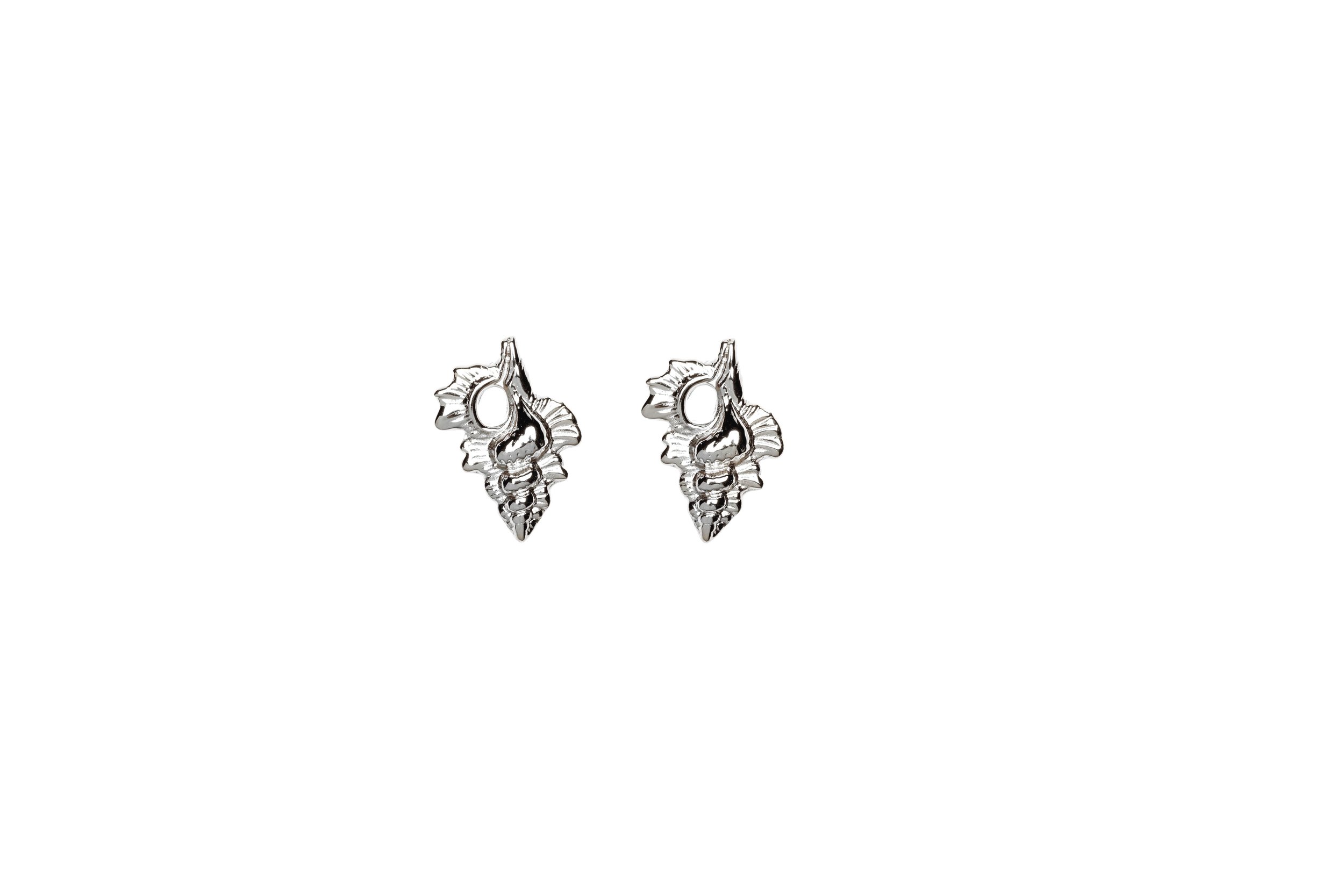 CONCH SHELL STUD SS.jpeg