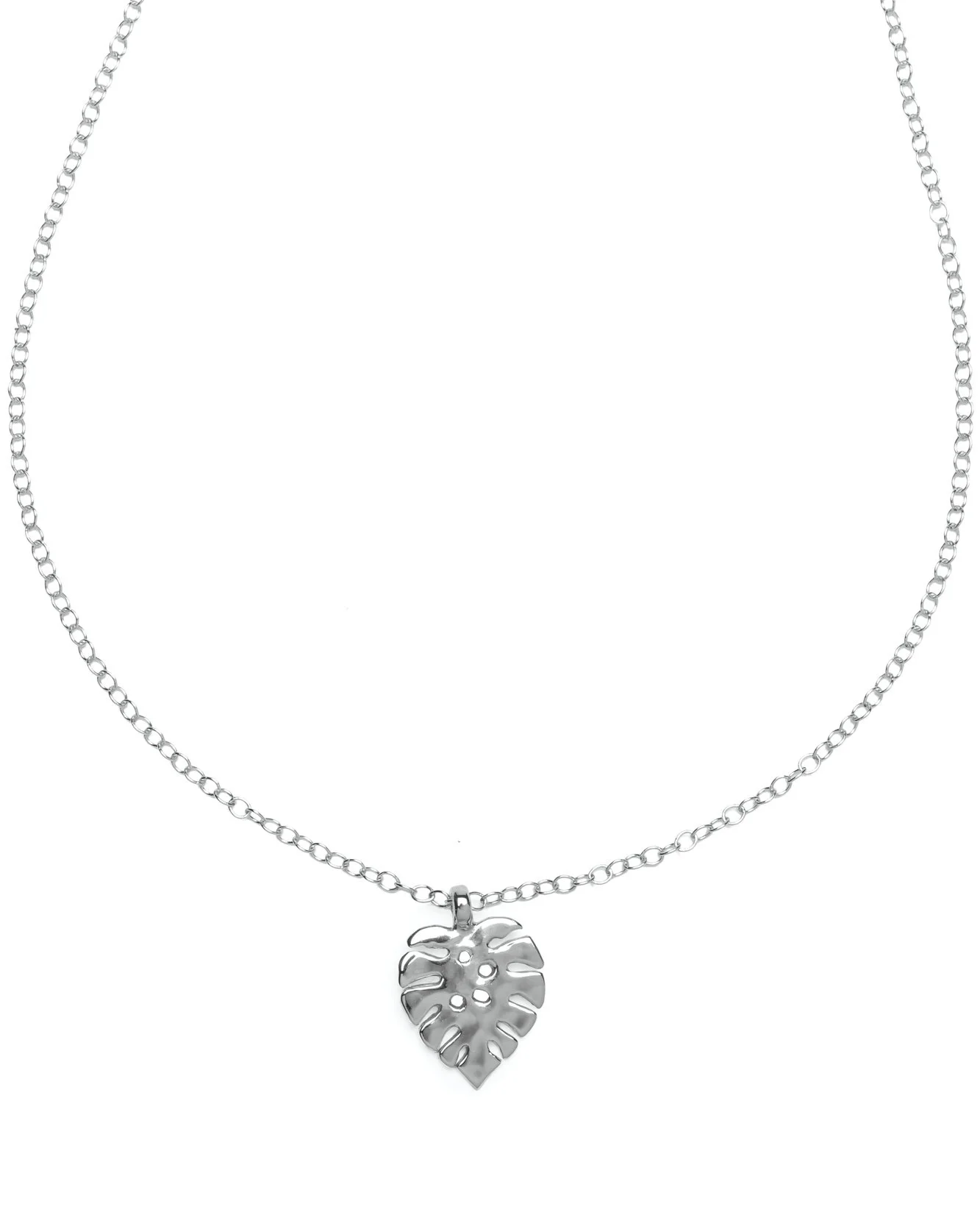 SILVER+Manini+Monstera.jpg