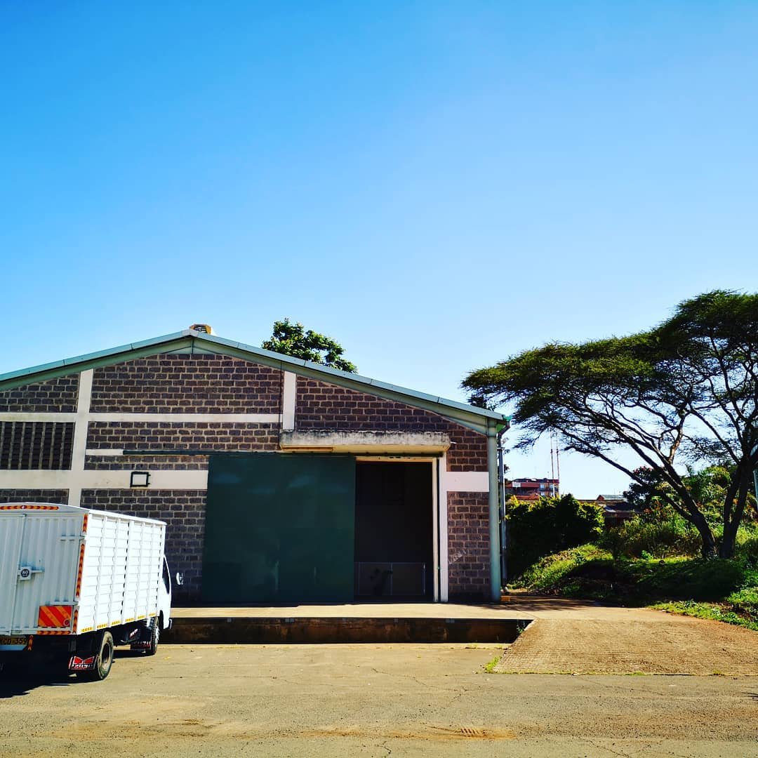 watch this space. veg things happening at the new packhouse of our friends taimba.co.ke . looking fresh @domkavuisya 😎

#farmafrica #udongonimali #veganthings