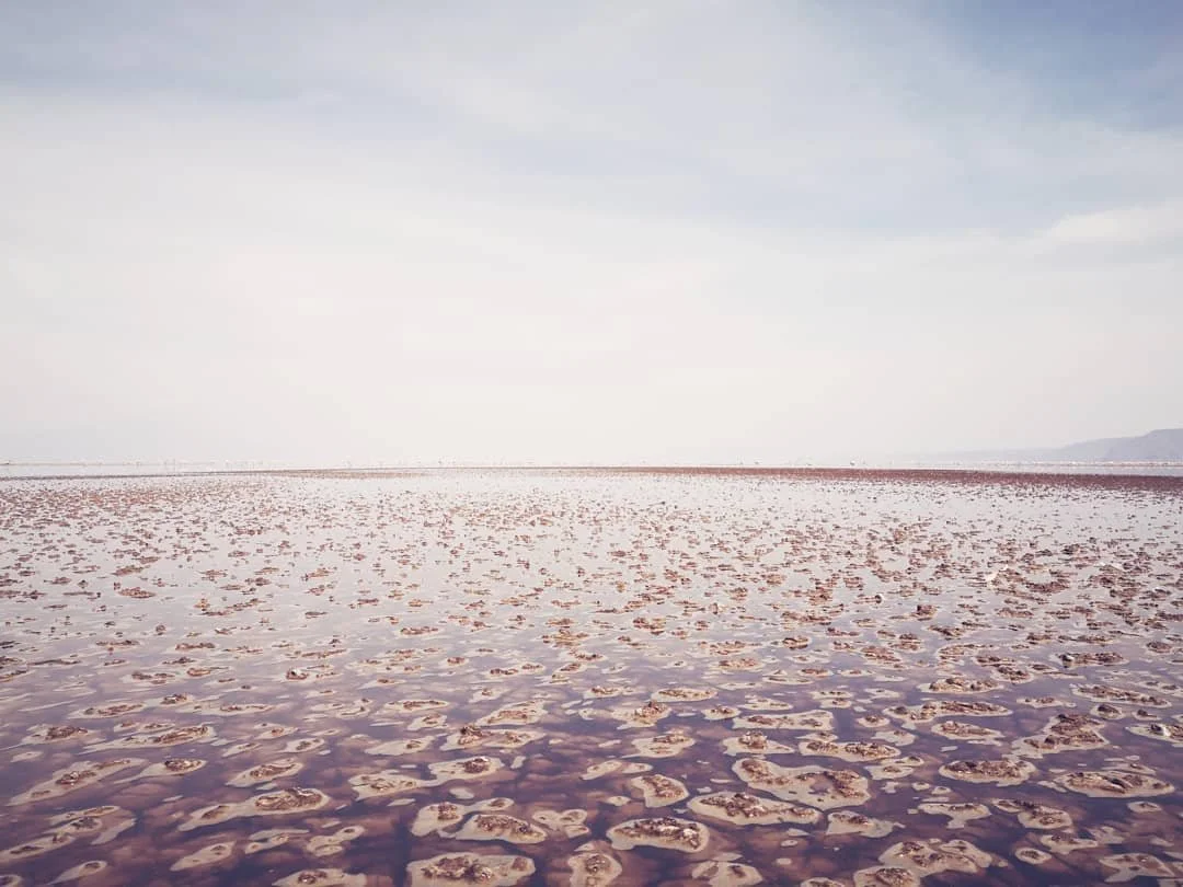 great design requires deep context and the proximity to see it. focused ethnography is a start, but we also push&nbsp;to explore beyond the brief. as we wrap a project focused on trade and migration in regional border corridors, we contrasted our tim