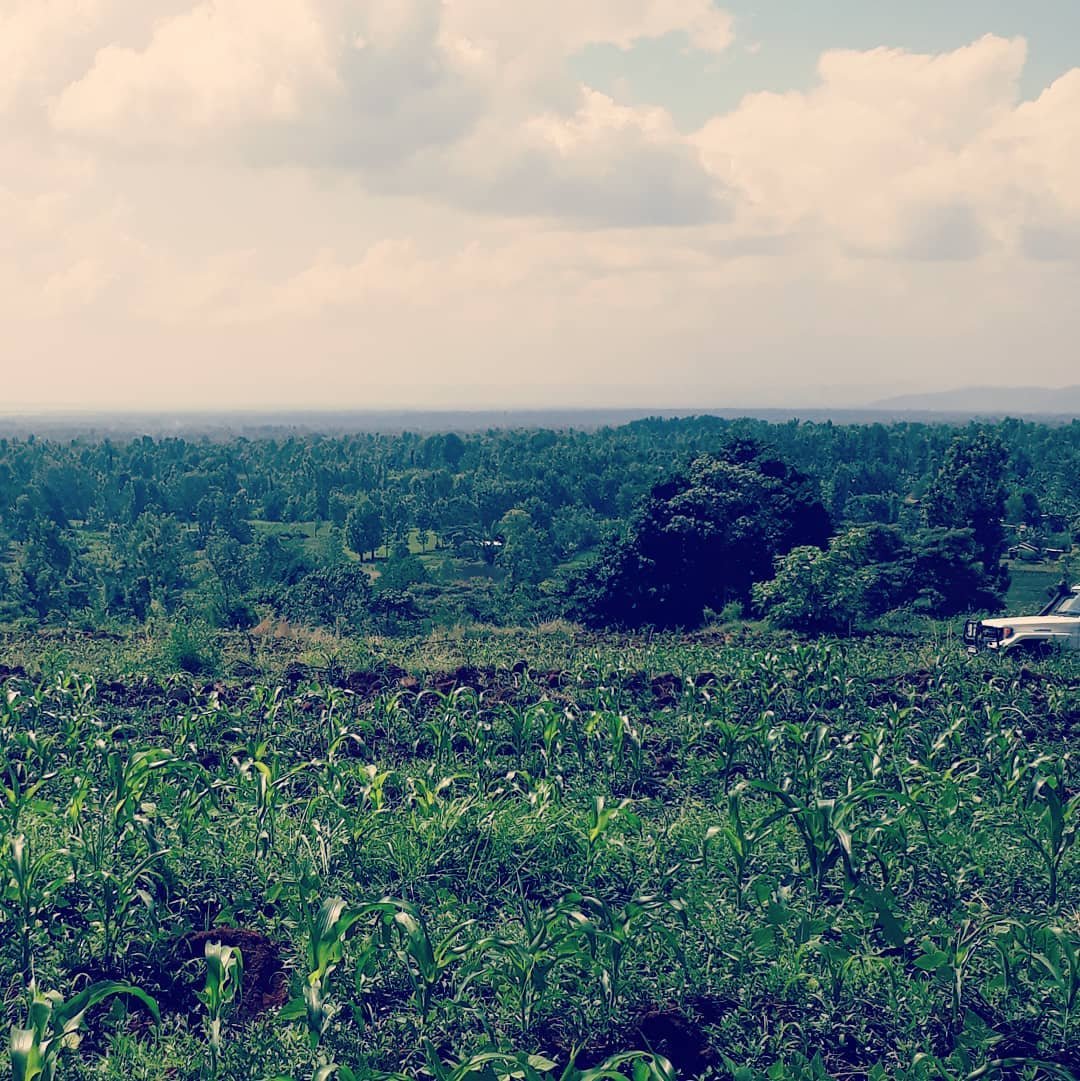 we recently hit the road for 5000 kms of exploration into how to make contract farming more fair to farmers and more profitable to companies. one of the most interesting things we found? mid-career professionals returning from the hustle of the city 