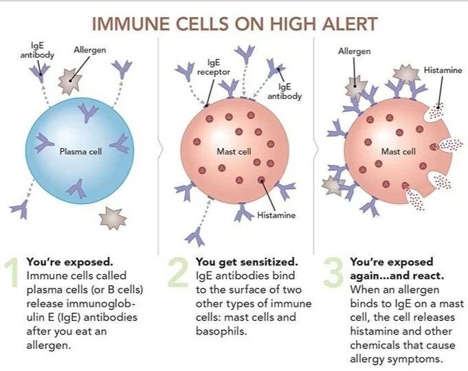 Food Antigen Testing — Seed & Sprout Nutrition