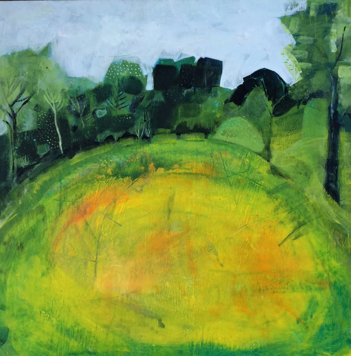 The Buttercup Field