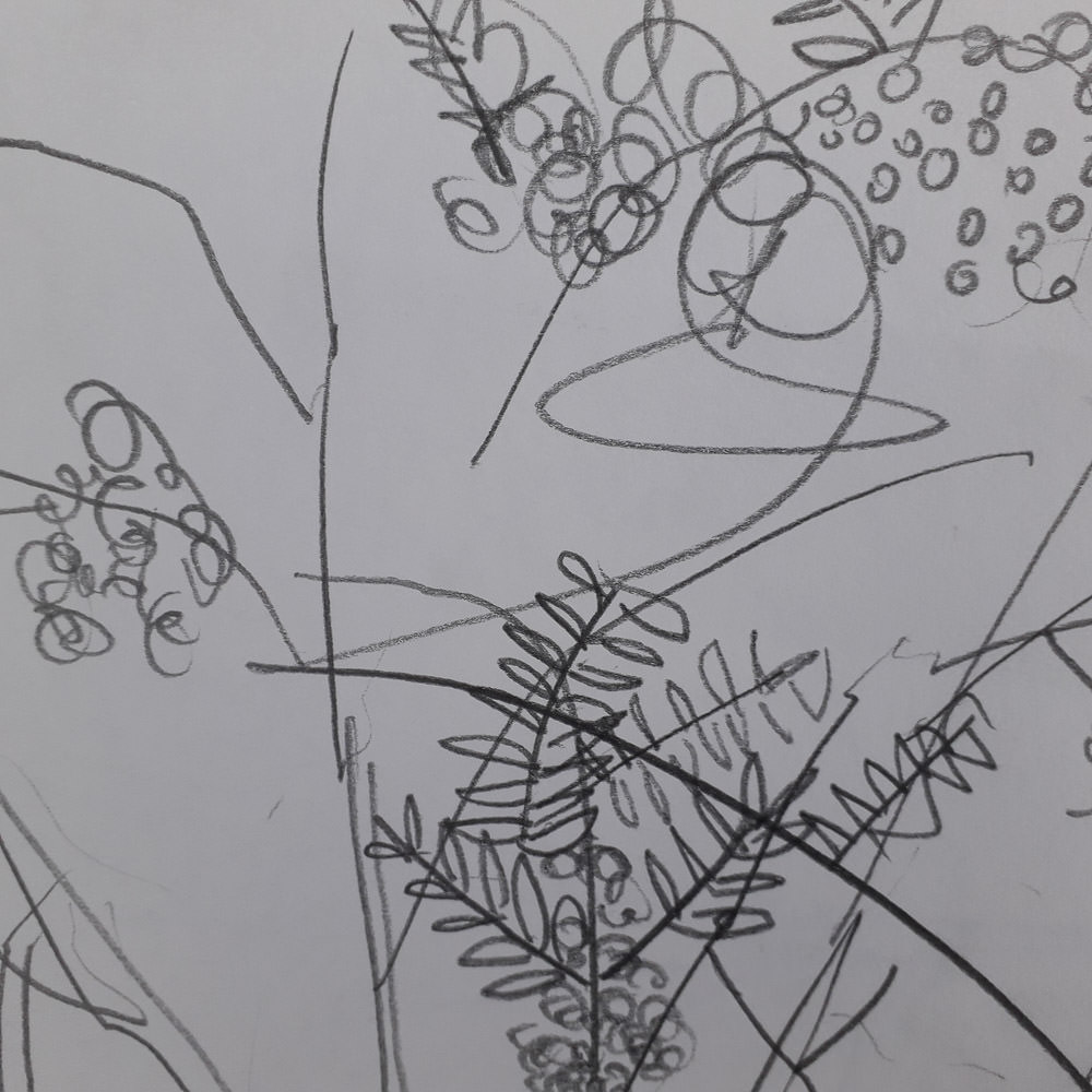 sketchbook-arboretum-ideas-3.jpg