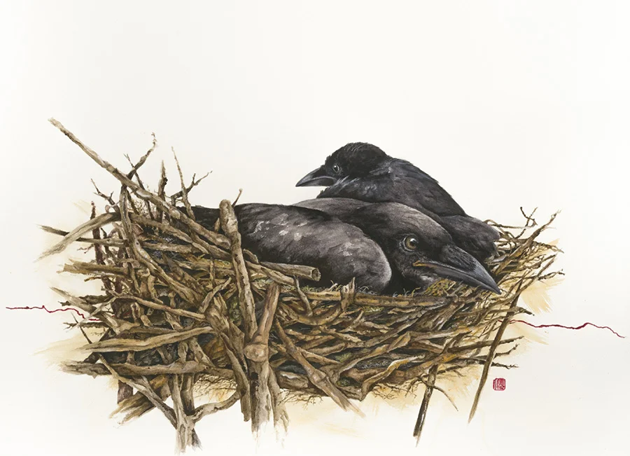 Crow nest.jpg