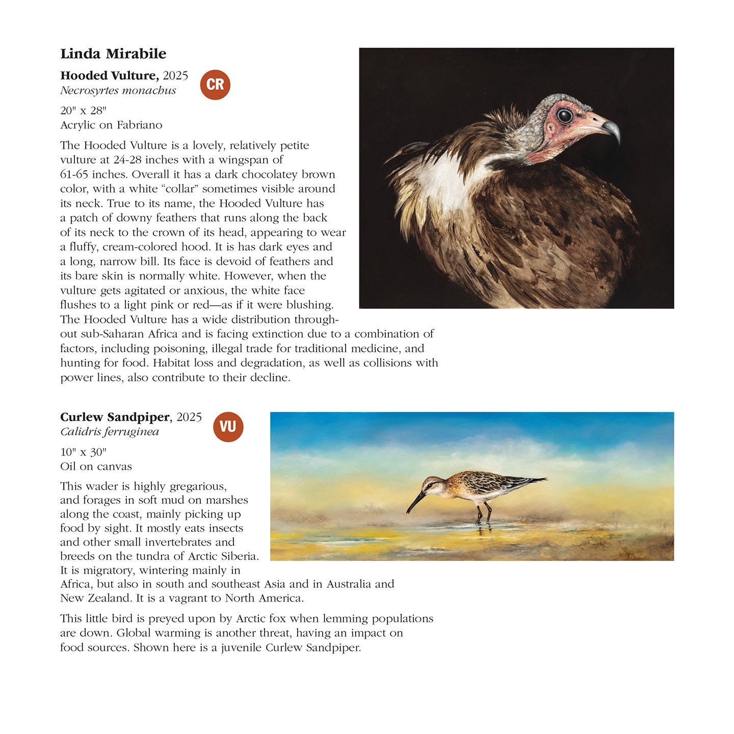 2025 ACB Catalog_TEXT_PRINT_REV-8.jpg