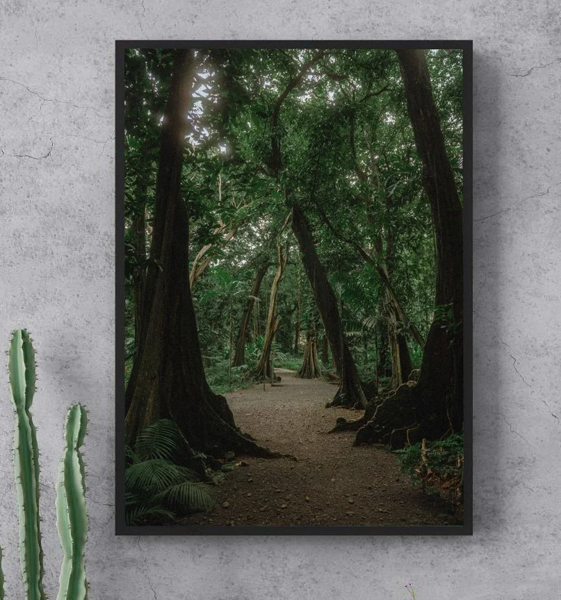 Mystic Forest