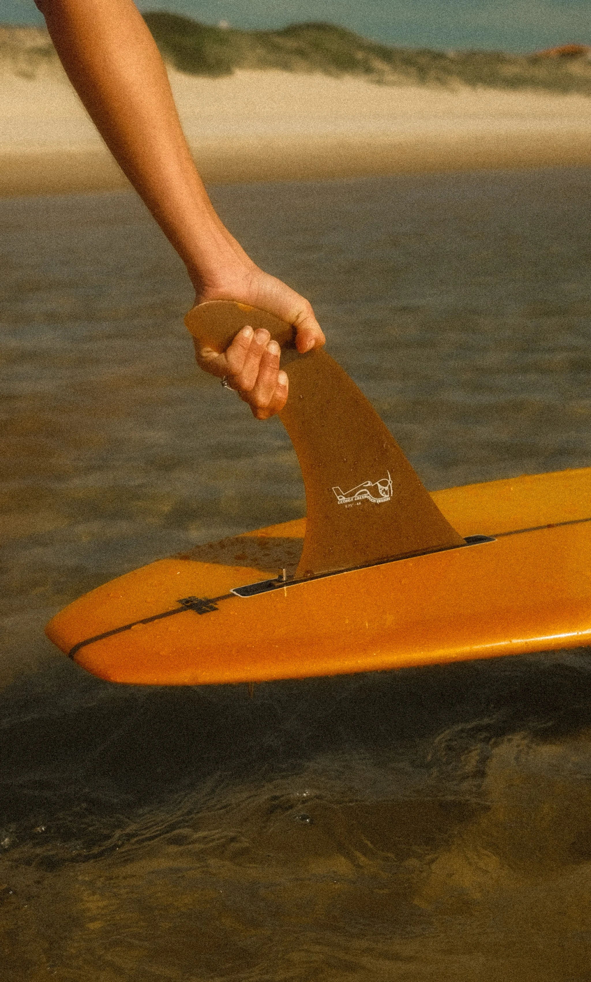DSCF1340.jpg