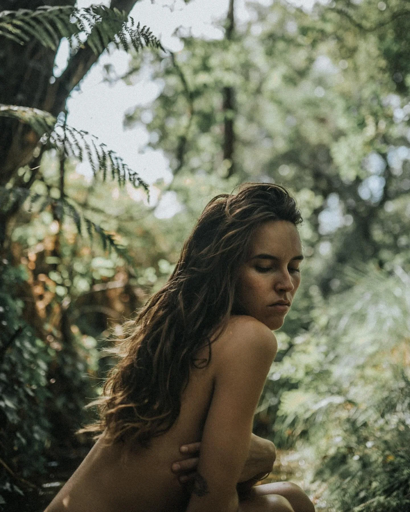 🍃🌳