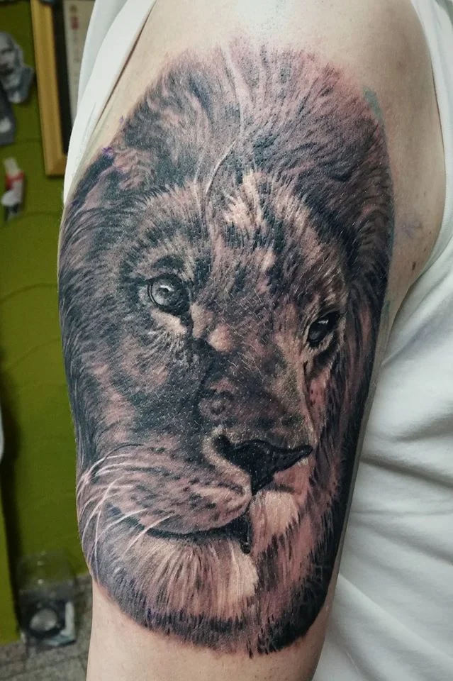 This lion tattoo was done as a part of a bigger project, and it is a starting point. It is located on upper arm for a reason to be the most important element in the whole composition.