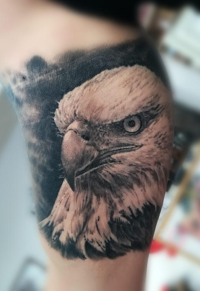 Eagle, as a bird of Palermo, part of a bigger ongoing project.