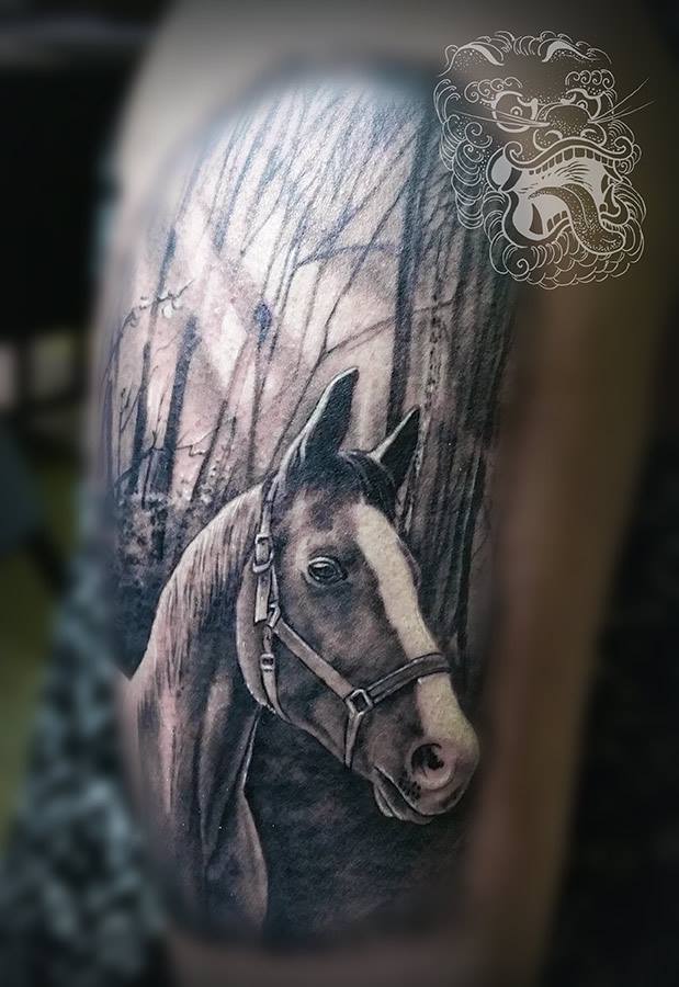 Realistic Horse Head Tattoo  Best Tattoo Ideas Gallery