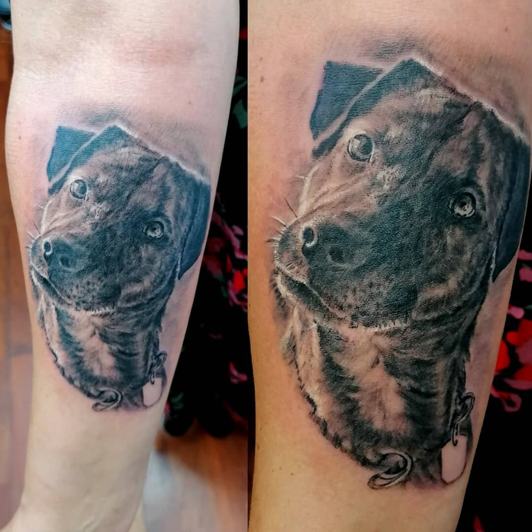 "Dogs are not our whole life, but they make our lives whole" ............................................. . . . #malantattoo #tattoostudio #neuwied #koblenz #tattookoblenz #tattoobonn #tattook&ouml;ln #inkmag #inkart #andernach #armtattoo 