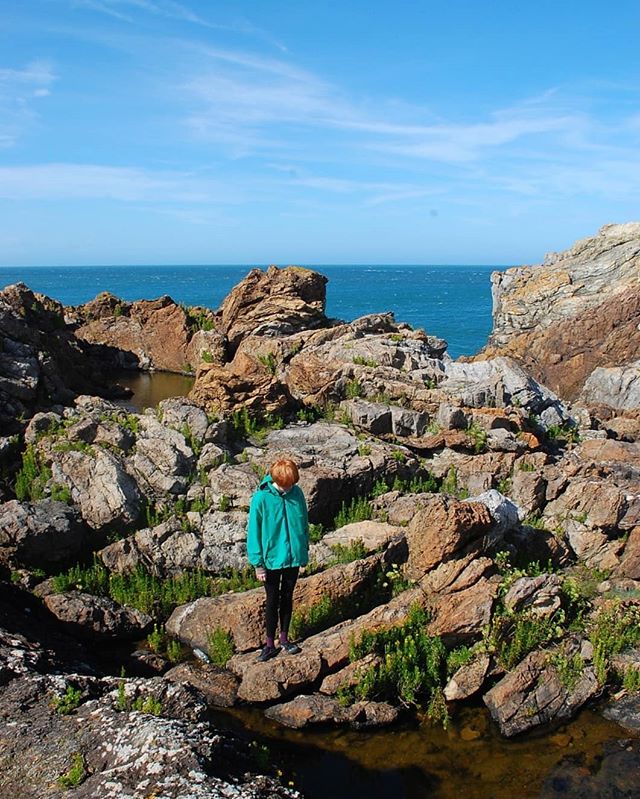 This month's #GoodThings newsletter out this lunch time. Feat. some lush photos of #Anglesey in honour of #StDavidsDay. Sign up to receive it above ^^^ #newsletter