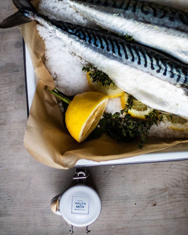 An out-take from last weekend's shoot for our book on the magic of sea salt (published by @dobookco) a team effort from the LW siblings. (Even a 💯 veggie can appreciate how beautiful these mackerel look)