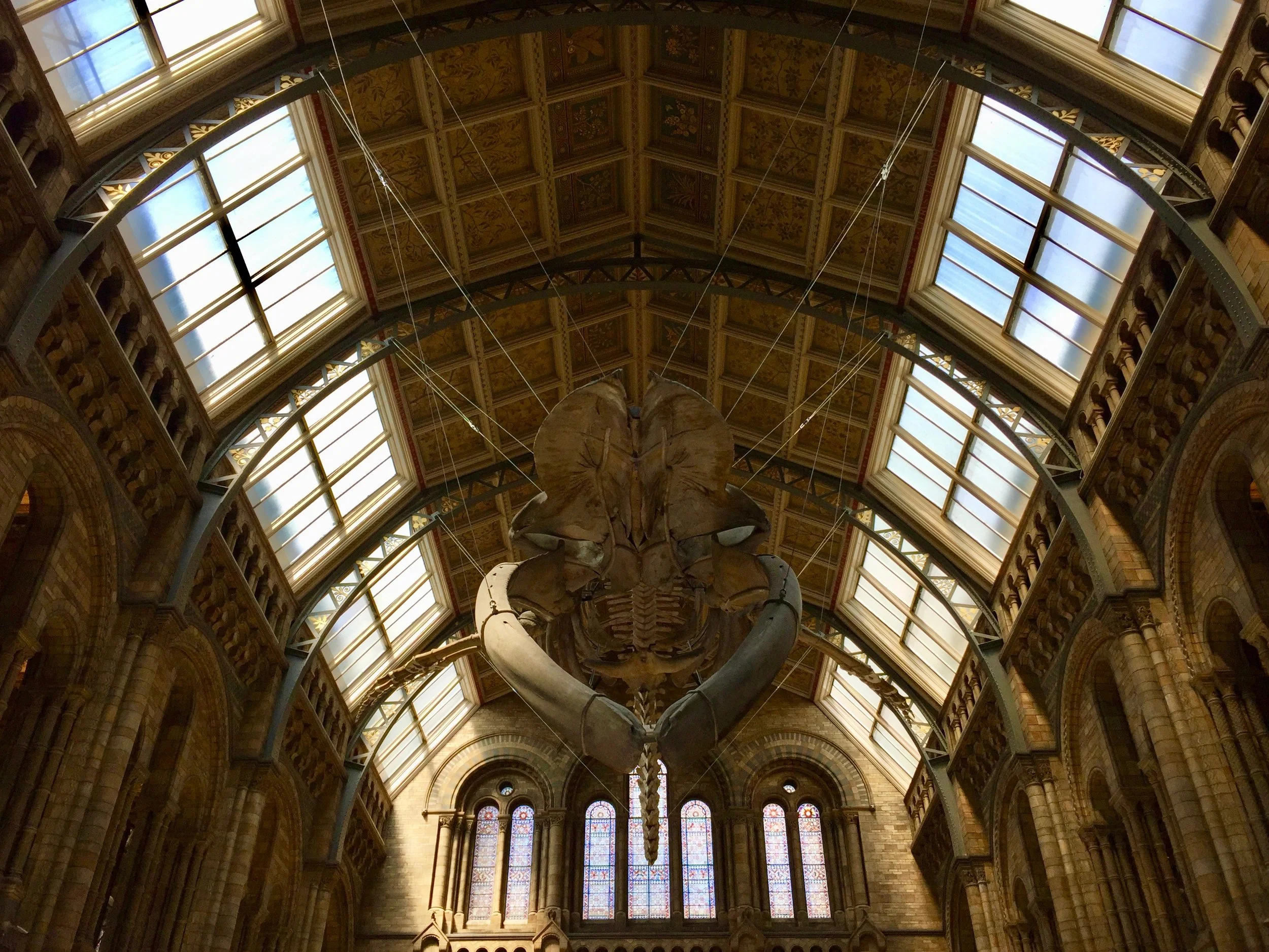 Last thoughts on 'Hope'