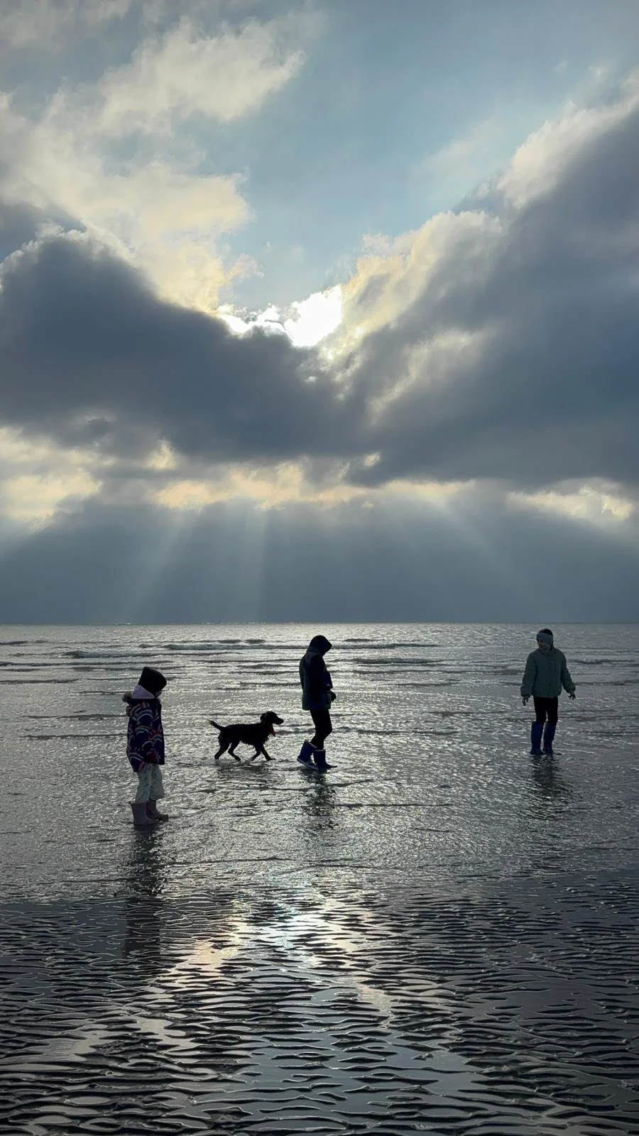 Grandchildren on the beach.jpg