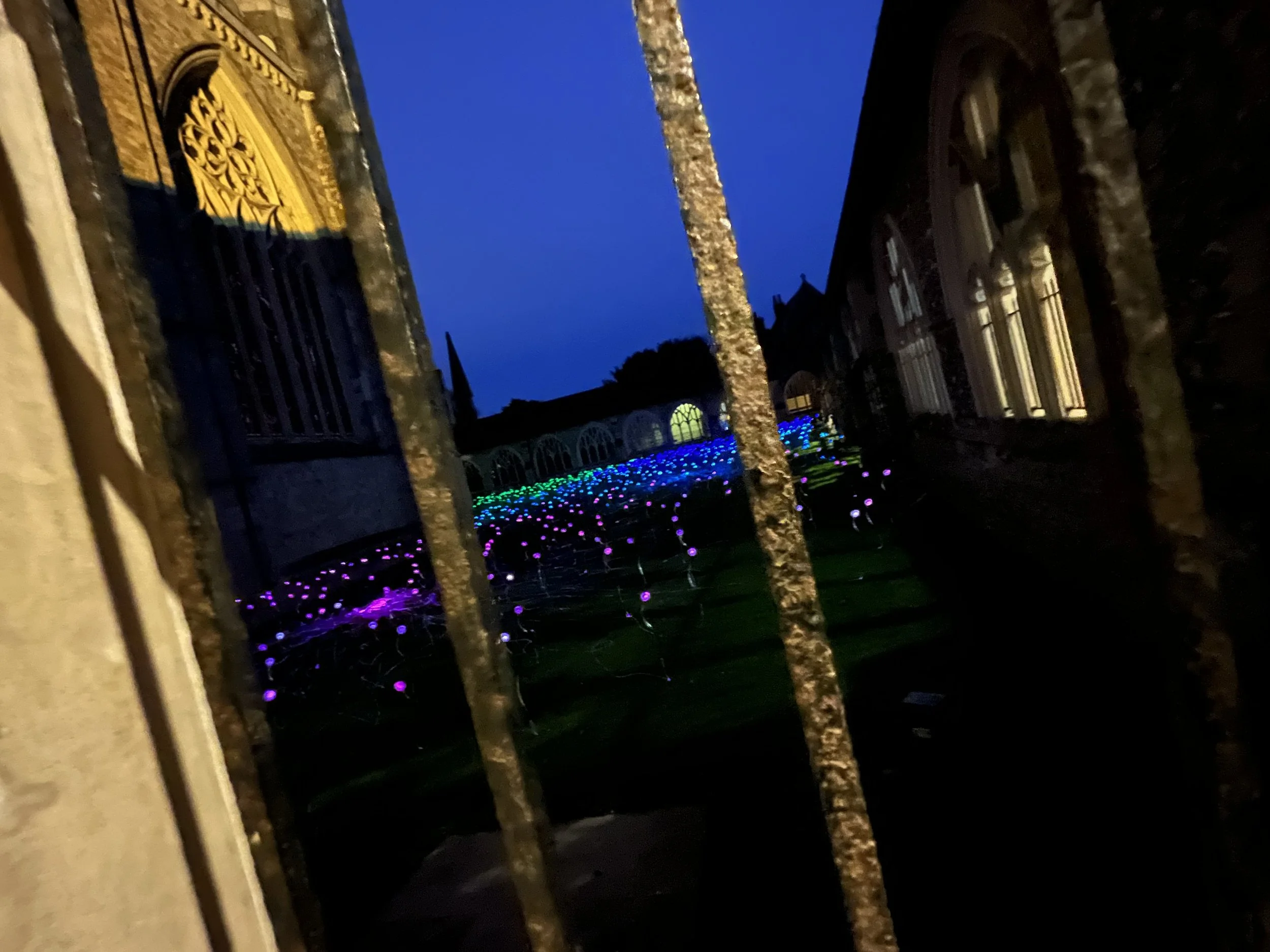 I am a failed parent............