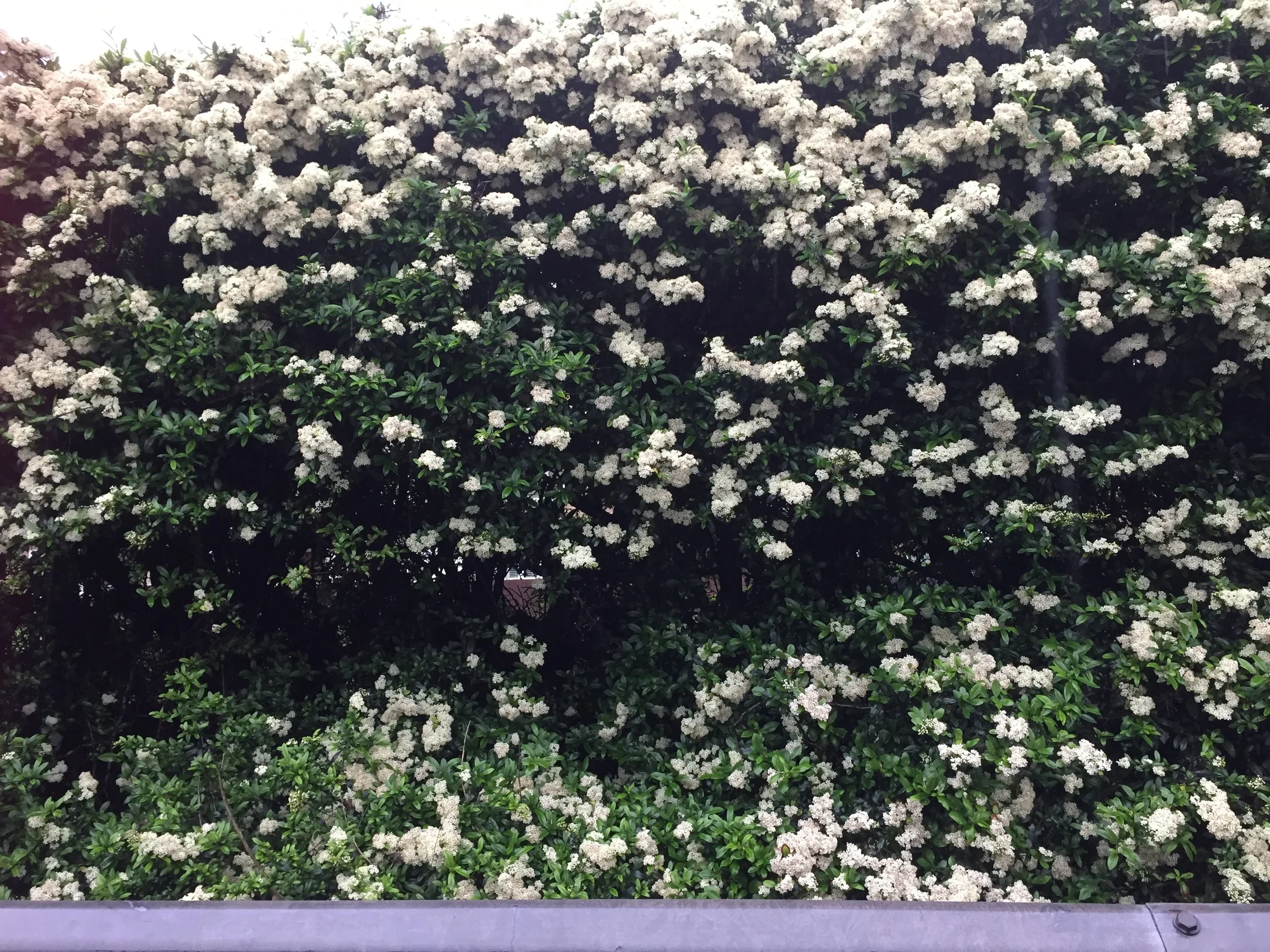 What are you so scared of Lis?