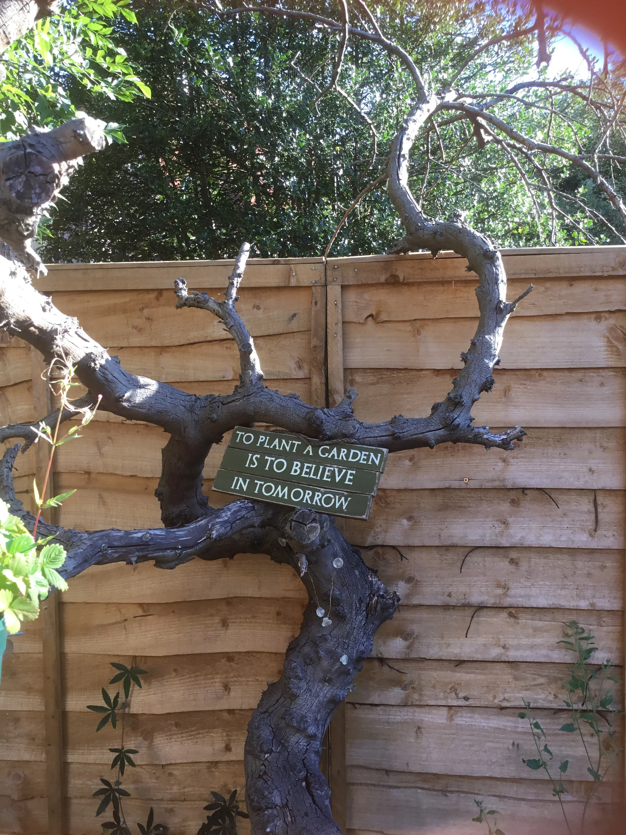 Disease, diagnosis, devastion and the decision to be still