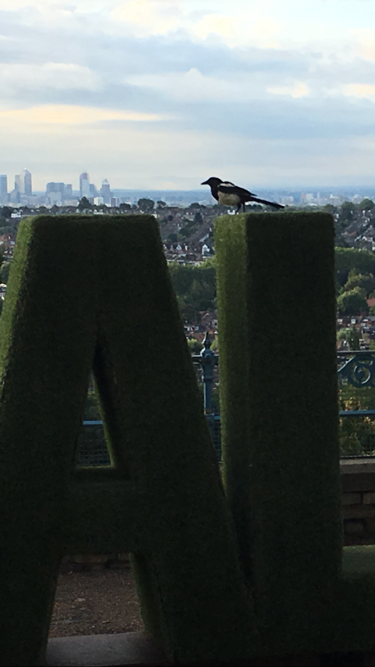 What did your death teach me my darling? 