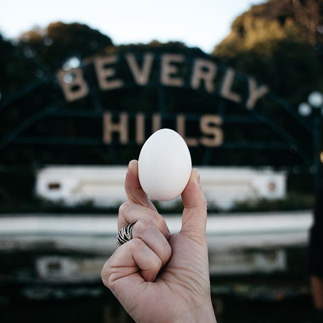 EGGerly Hills
.
#travelphotograpy #travelphotographer #travelling #photography #canonphotography #LosAngeles #beverlyhills