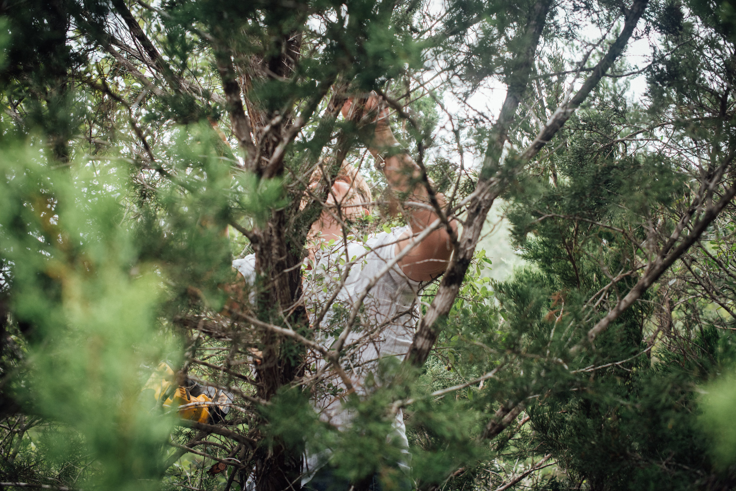 DSC_0205.jpg