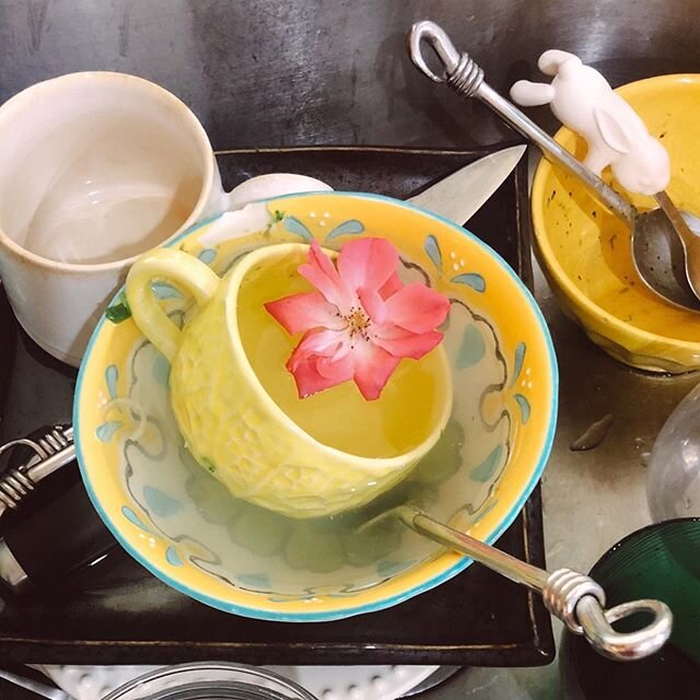The flowers I find from my son. When I find him to thank him, he&rsquo;s on the potty. He says &ldquo;I just love you&rdquo;. And the dishes in the sink become my meditation. Like some bright eyed,  illuminary podcast mentioned- &ldquo;anything can b