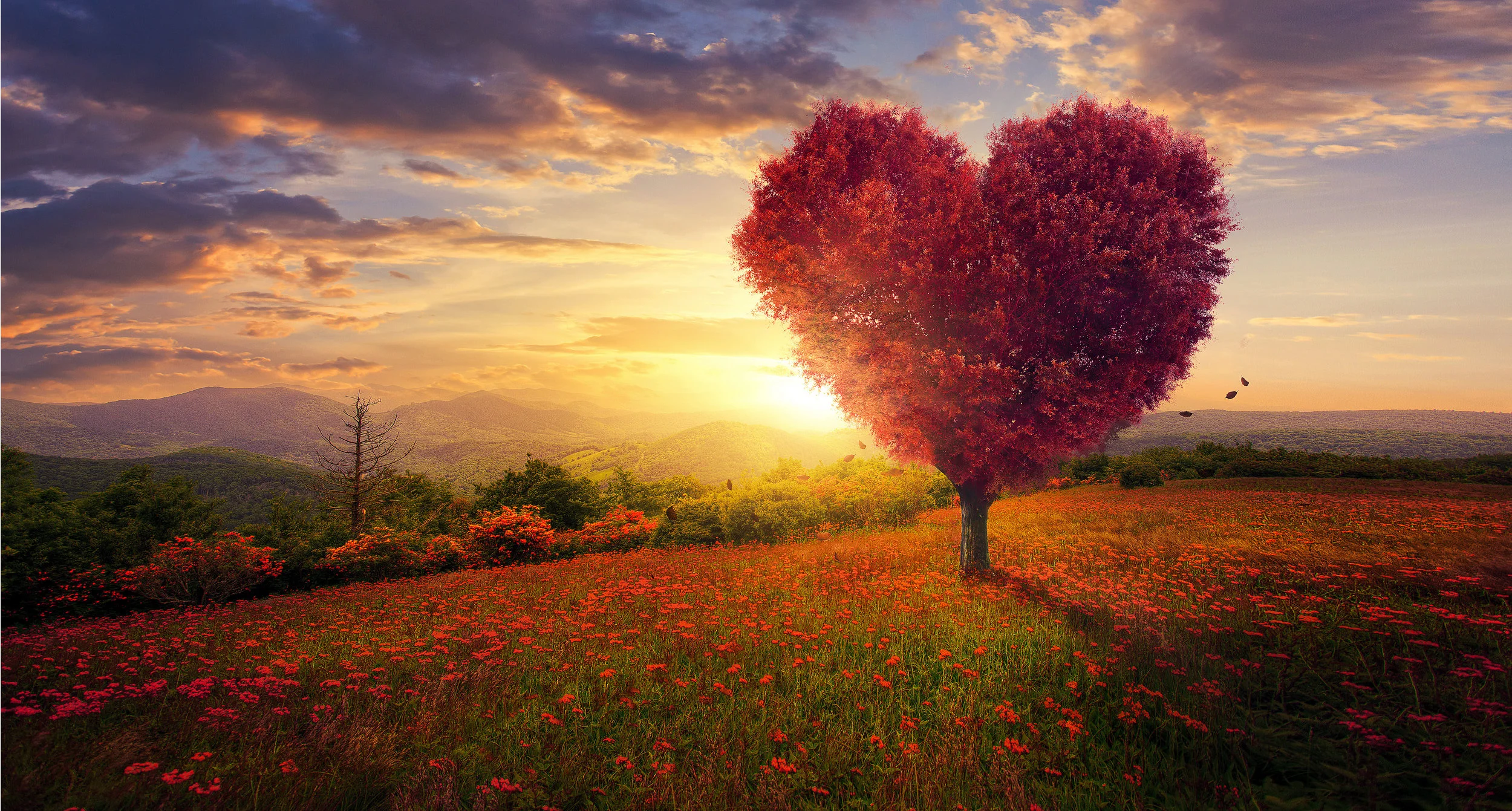 Heart Tree in Pretty Landscape (Widescreen).jpg