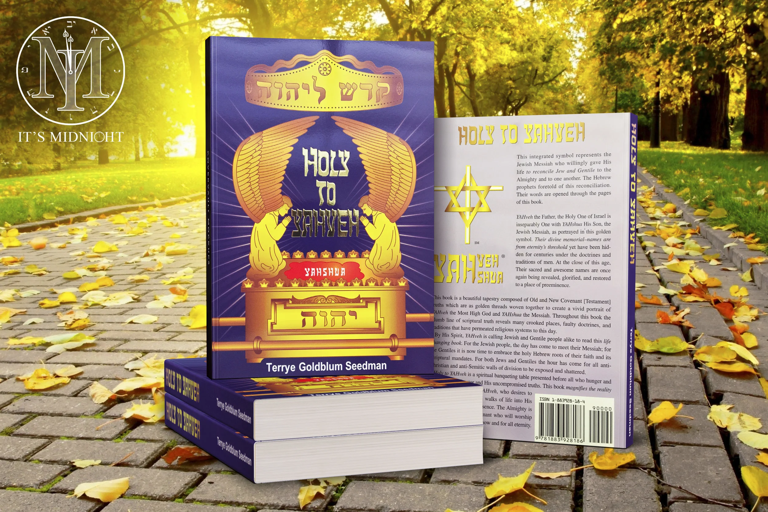Holy to Yahveh Thumbnail Paperback - Terrye Goldblum Seedman.jpg