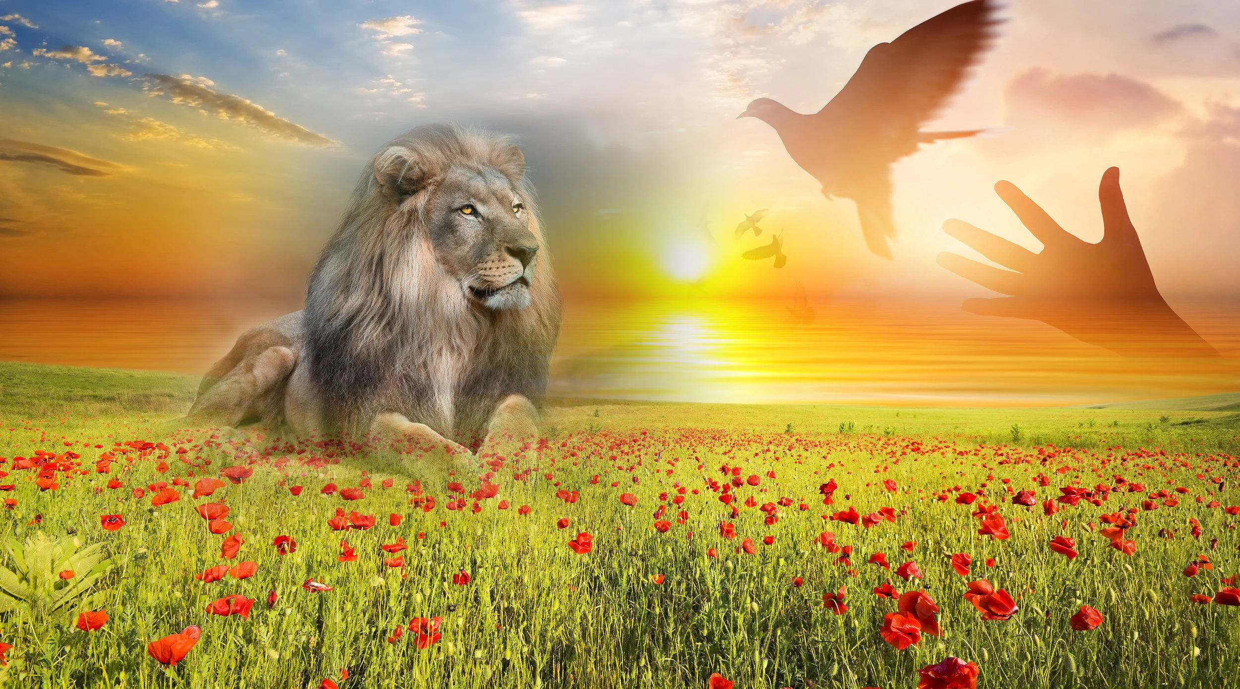 Lion and Dove with Sunset.jpg
